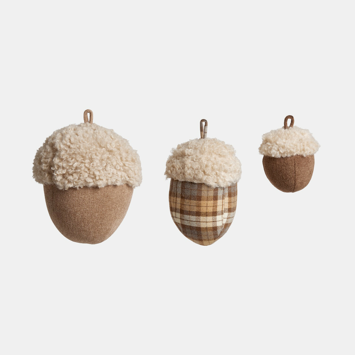 Lot de 3 glands Hazelb