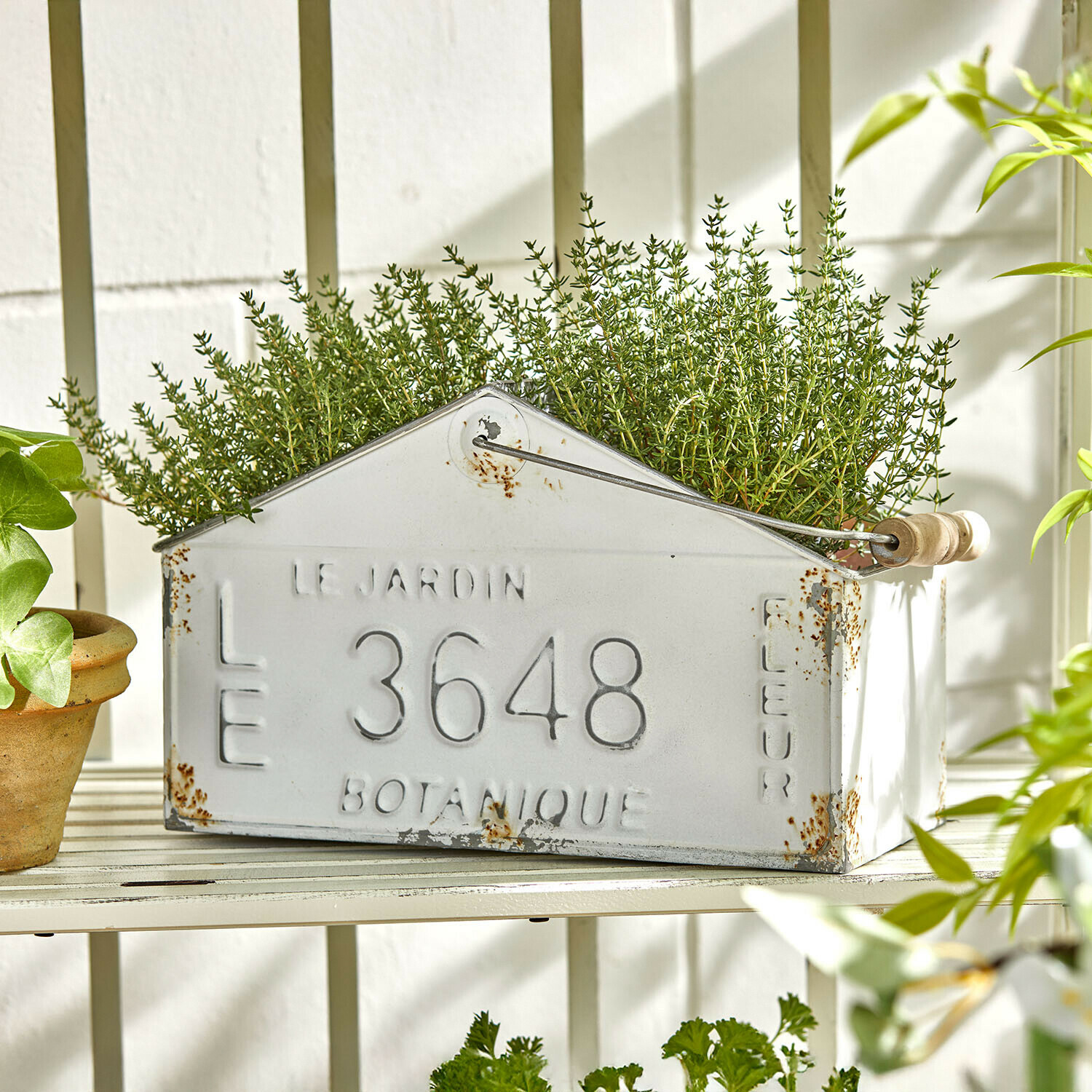 Panier Botanique Jardinière en métal blanc avec taches de rouille et herbes vertes sur une étagère blanche en extérieur