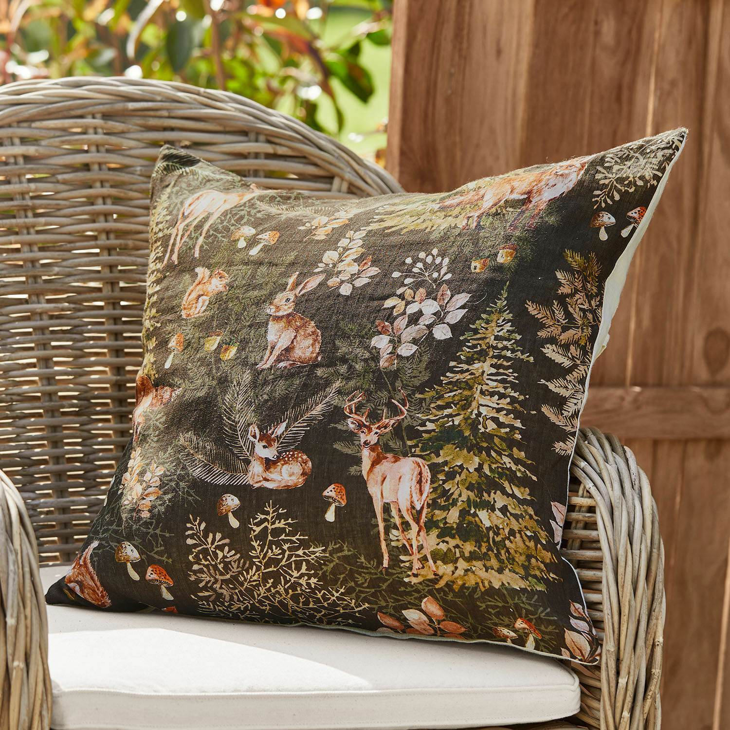 Housse de coussin Clairvigne