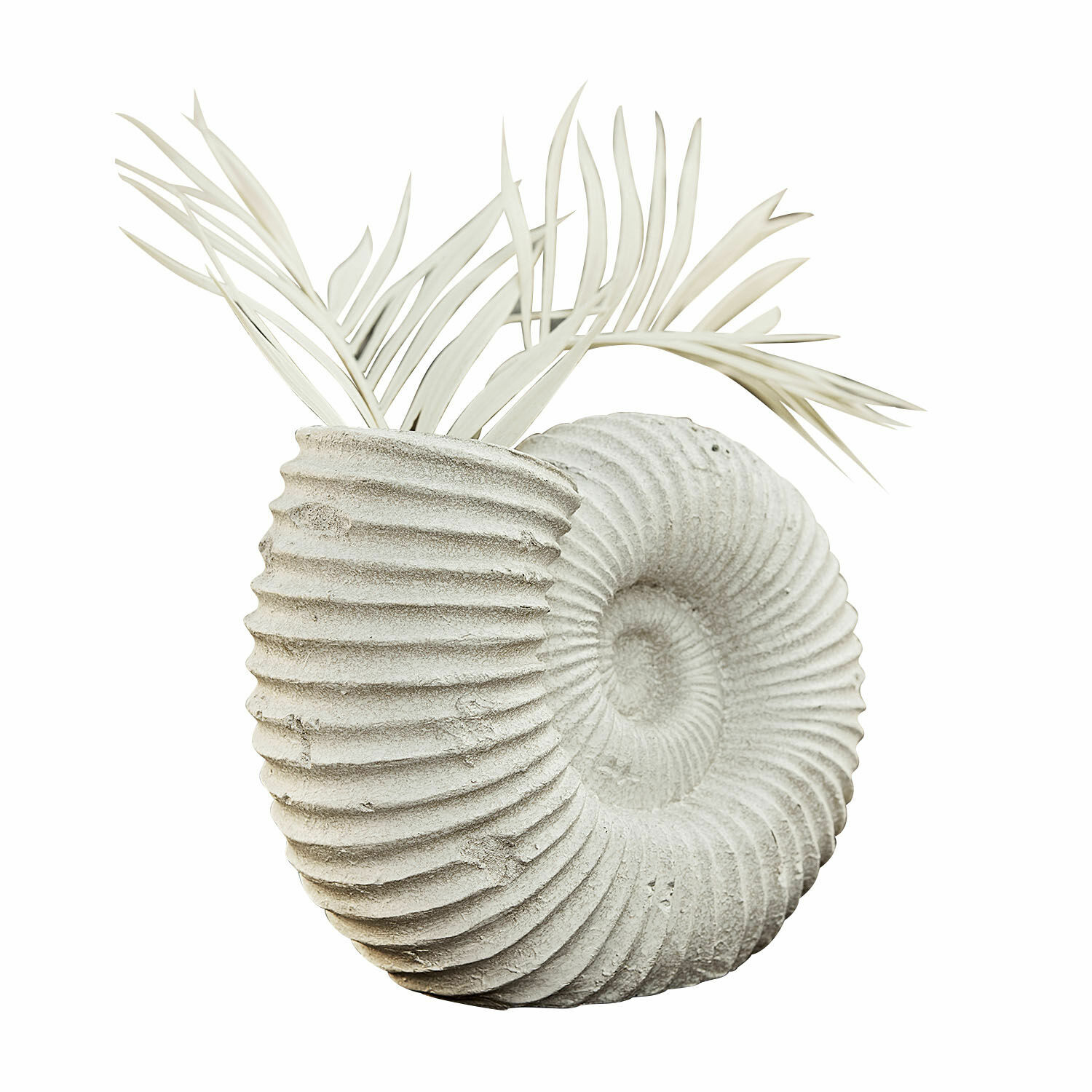 Vase Korrellin Vase décoratif en béton gris en forme de coquillage avec feuilles décoratives blanches
