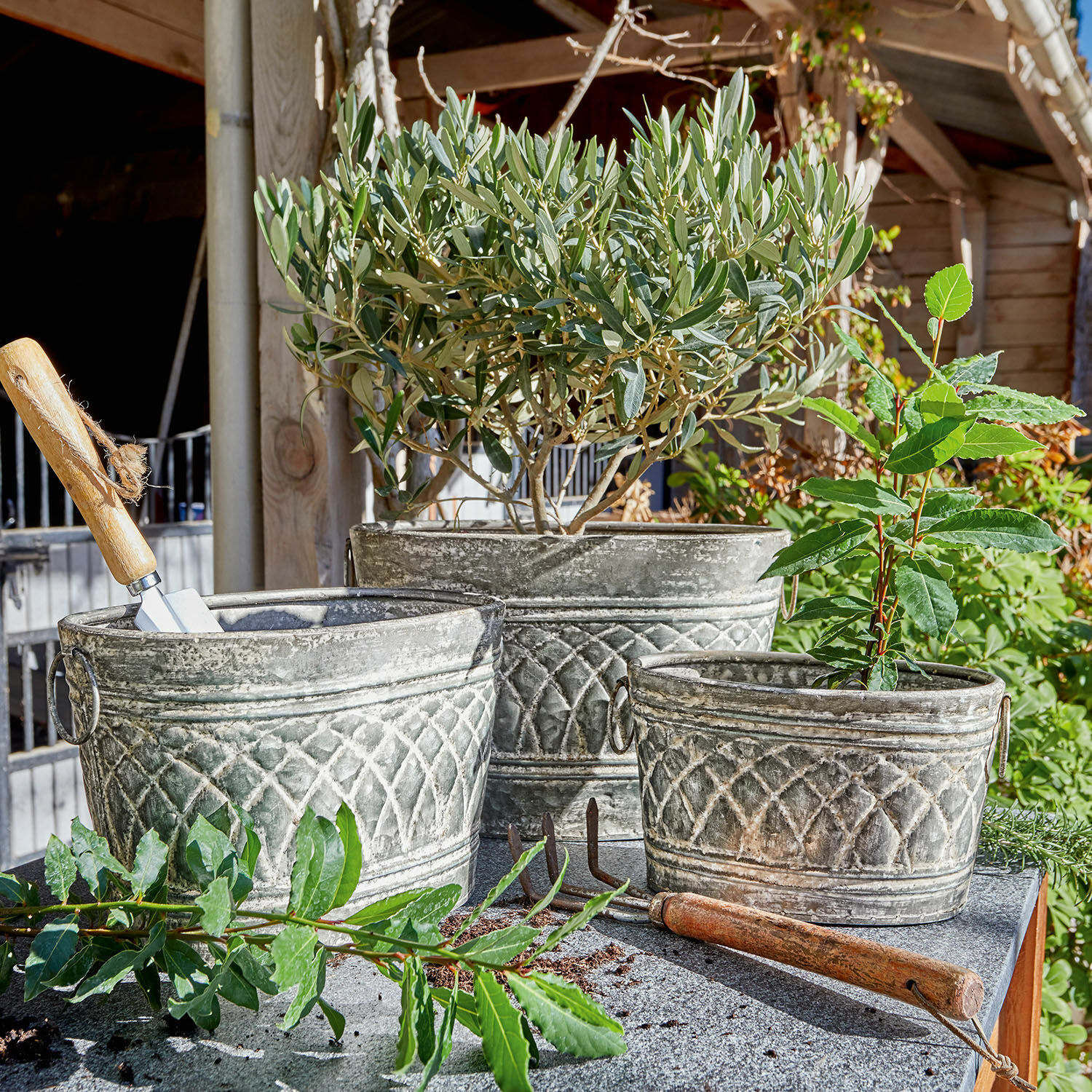 Lot de 3 cache-pots Conbeau