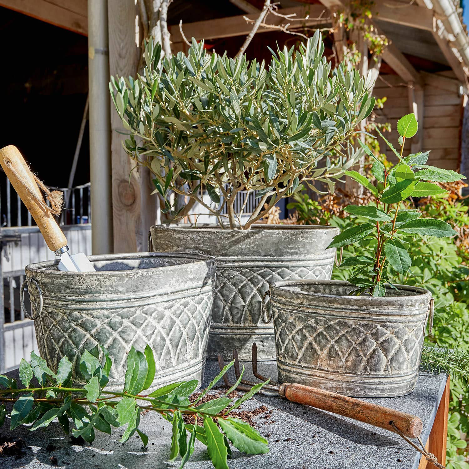 Lot de 3 cache-pots Conbeau