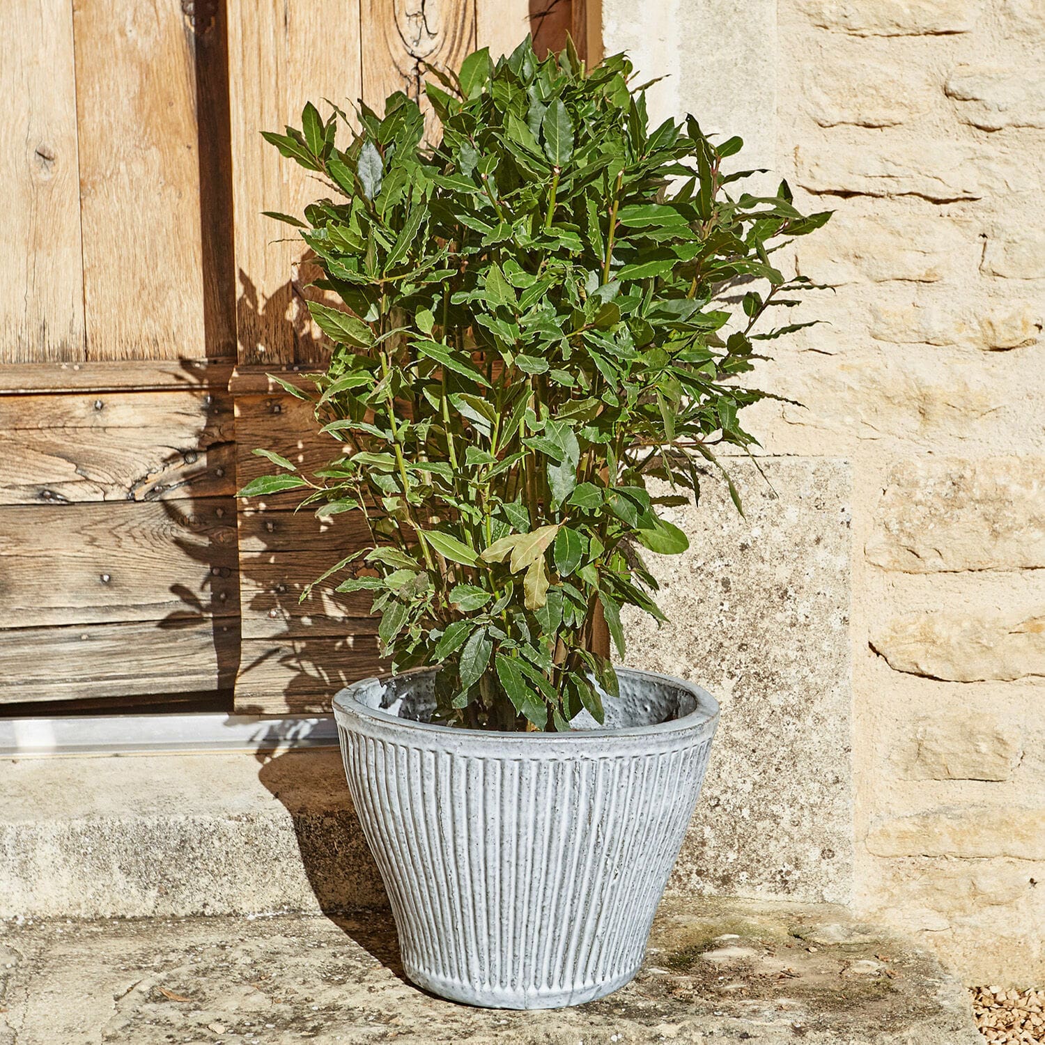 Cache-pot Cotignac
