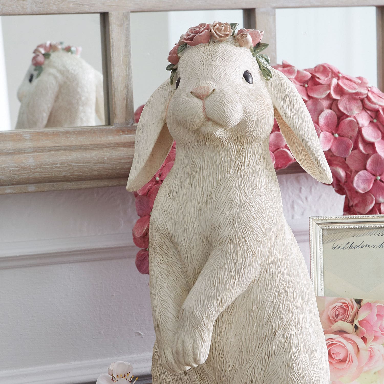 Lapin Sweety