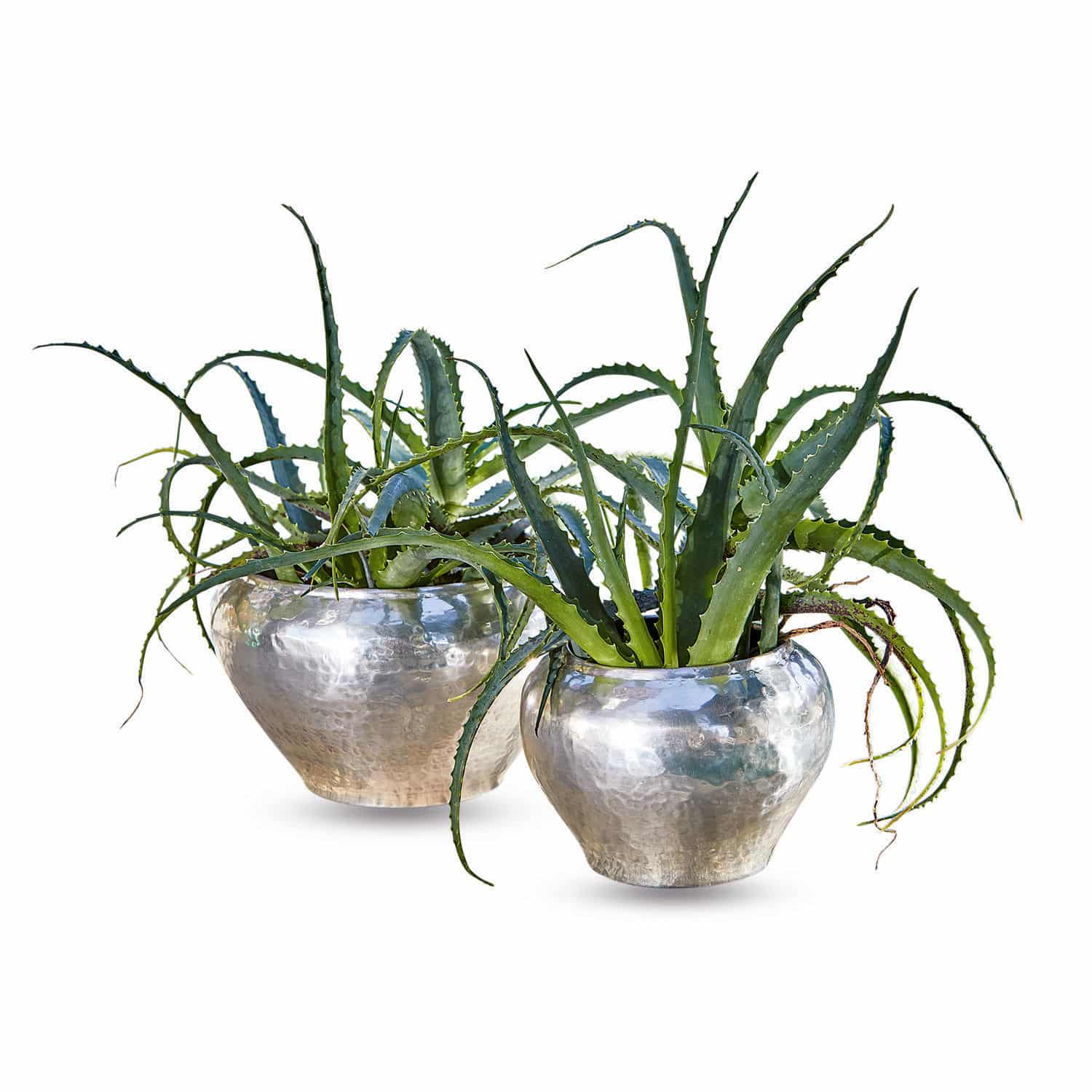 Lot de 2 cache-pots Liva