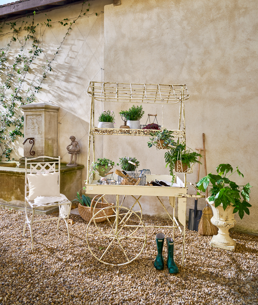 Plantes vertes vintage