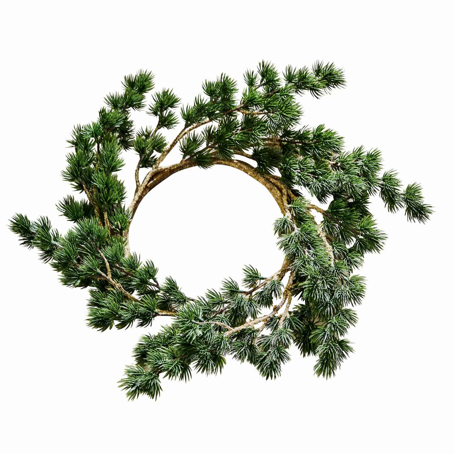 Couronne Fannie