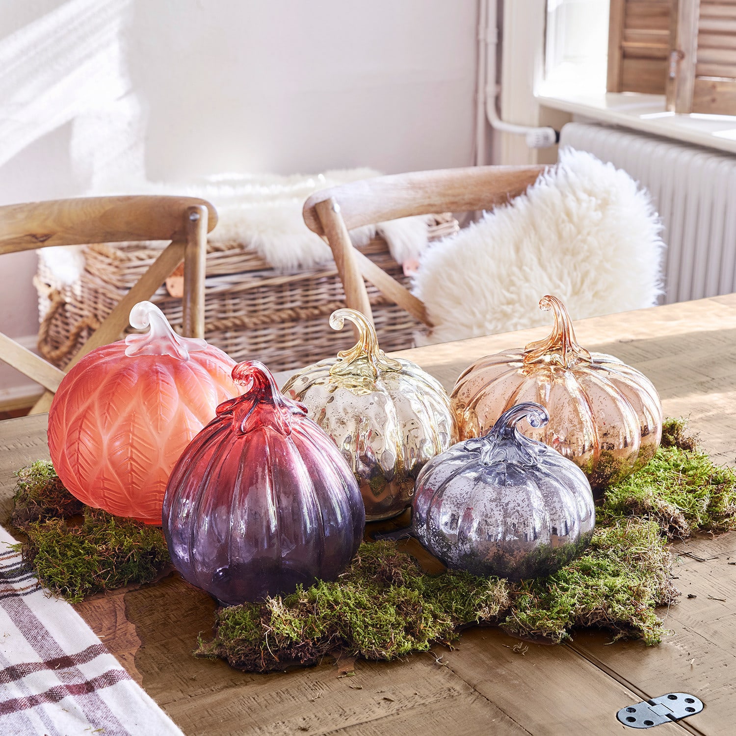 Lot de 5 citrouilles Lorenz