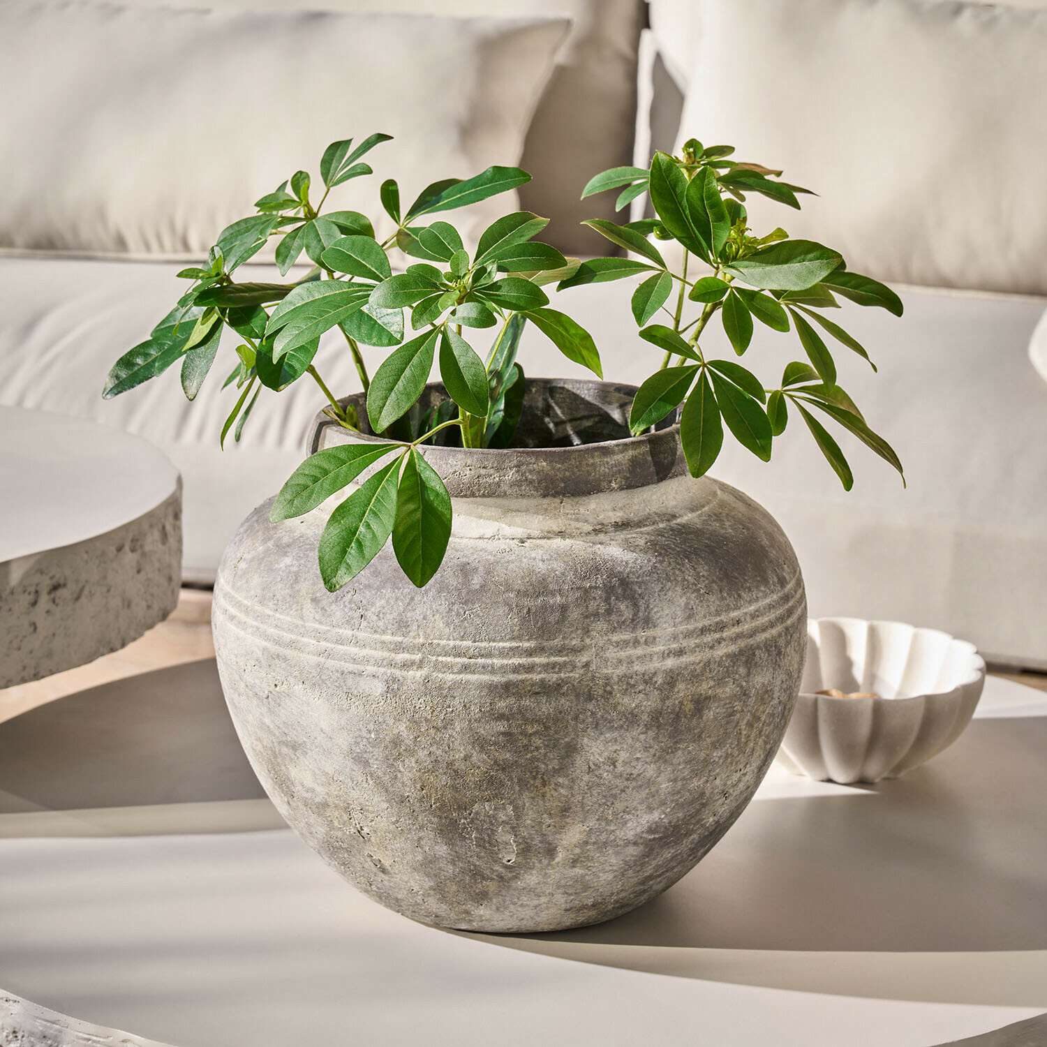 Vase rond en pierre grise avec feuilles vertes sur une table claire dans un intérieur moderne