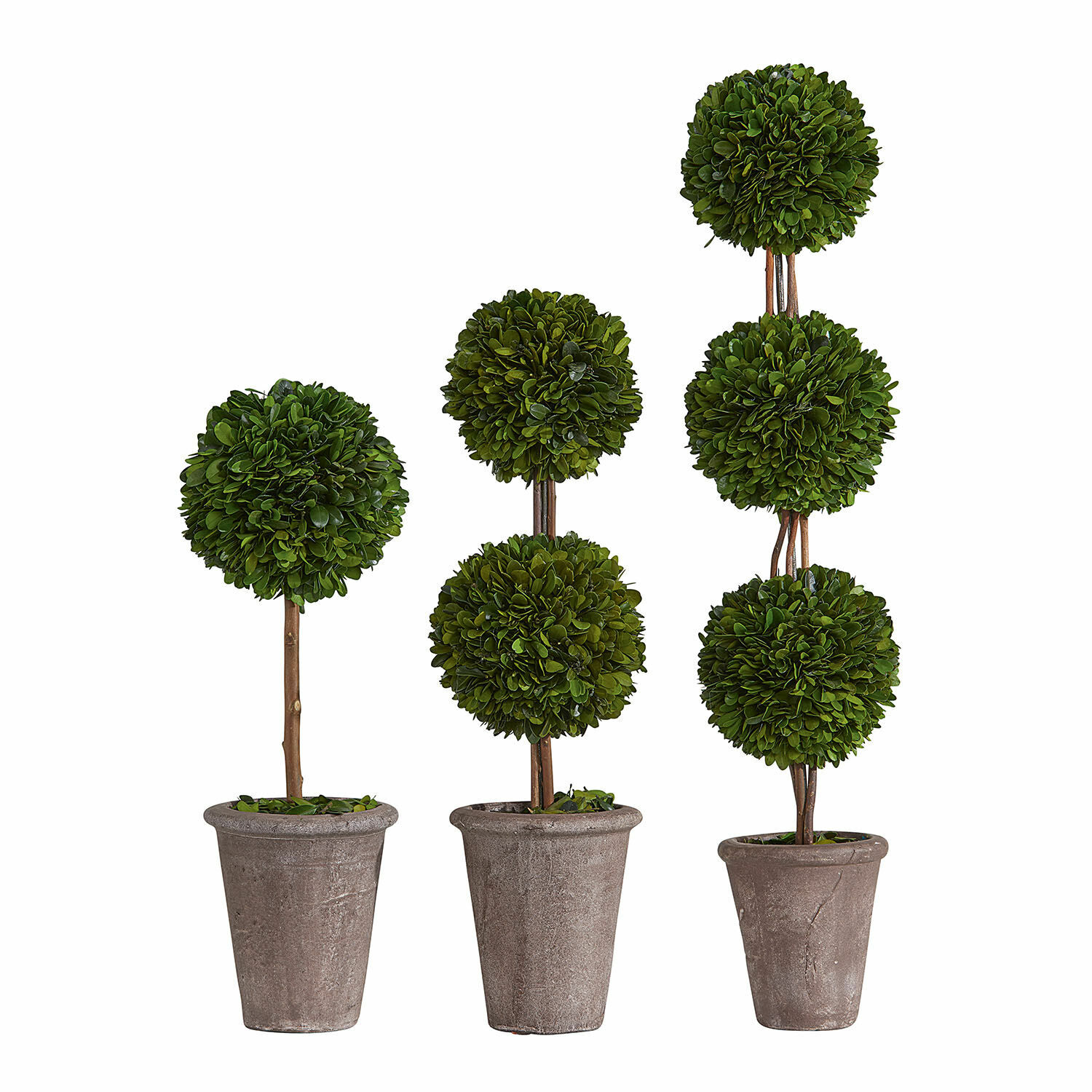 Lot de 3 arbres décoratifs Dunjes Trois plantes artificielles en pots avec feuillage vert en forme de boule et pots gris en béton