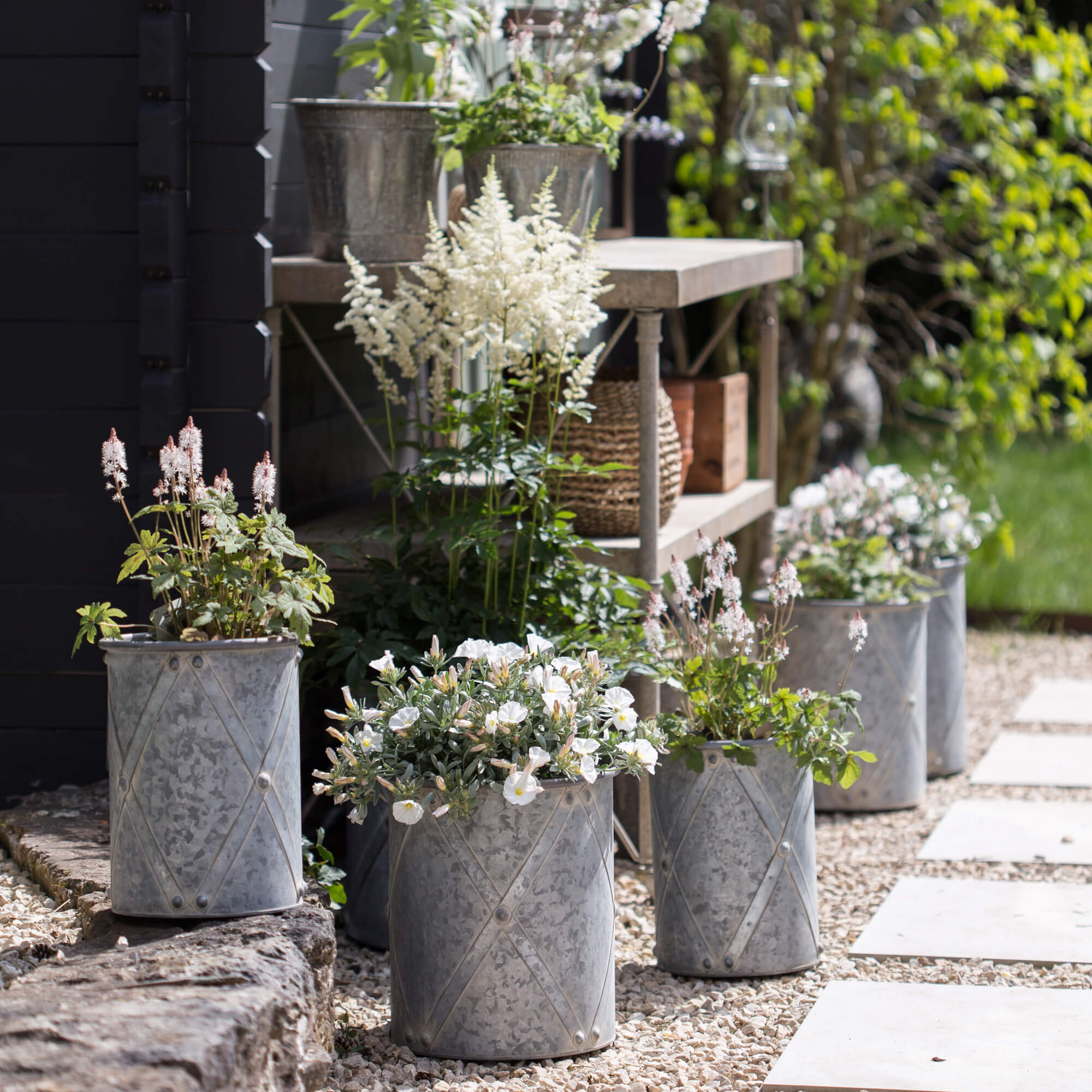 Pots en métal gris avec des fleurs blanches disposés sur un sol en pierre dans un jardin