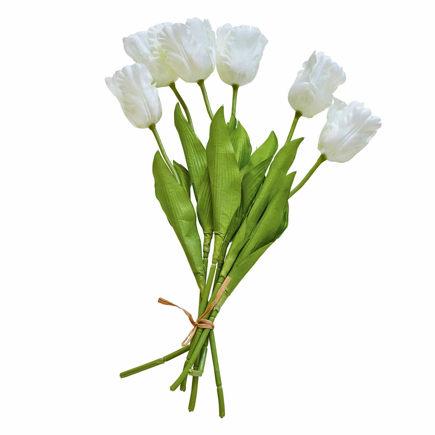 blanc/vert
