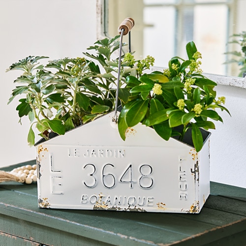 Contenant en métal blanc avec poignée et plantes, décoration intérieure et jardin