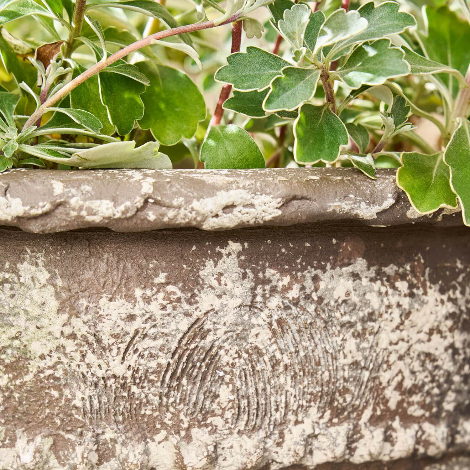 Lot de 2 cache-pots Montérise