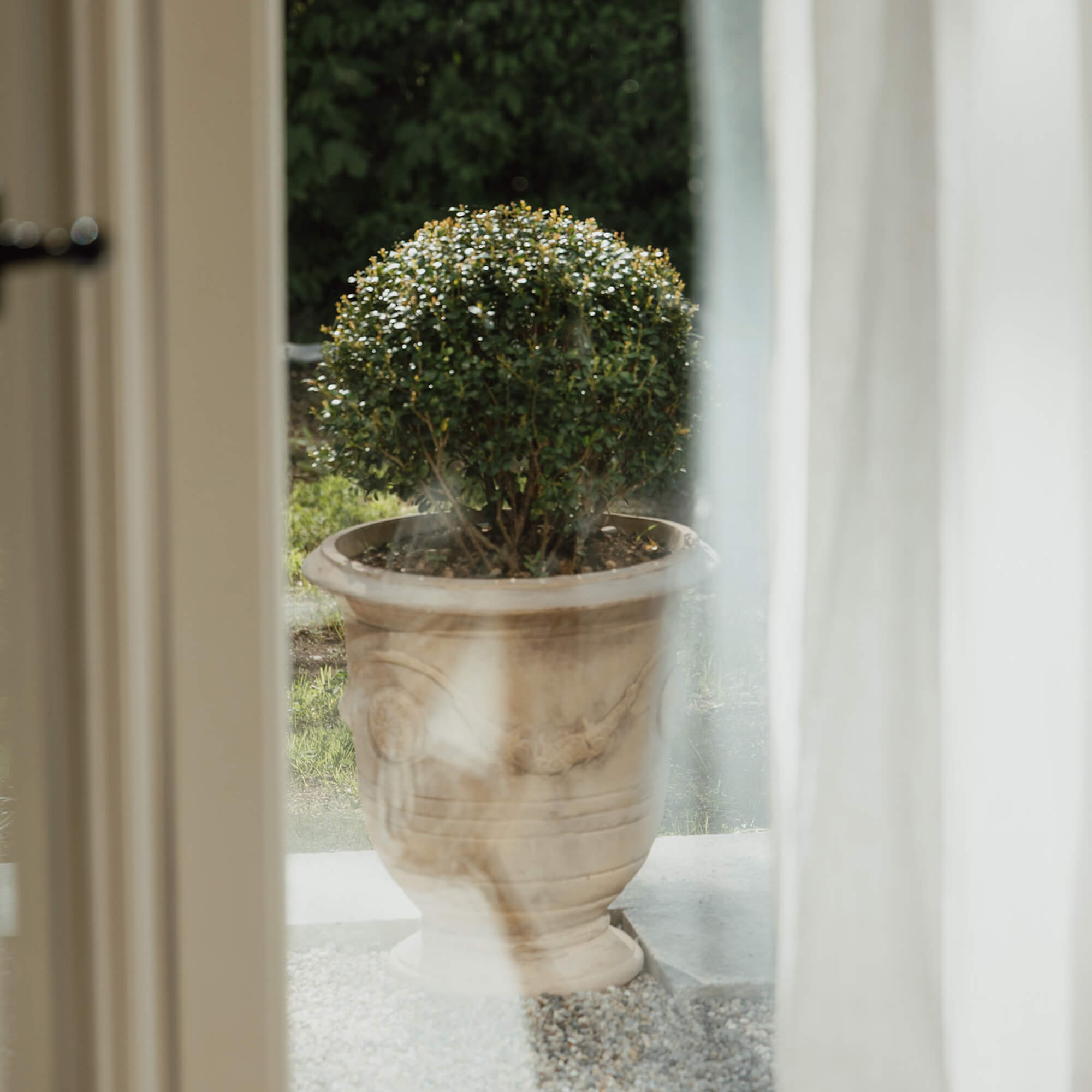 Jolie jardinière en pierre claire avec un buisson vert à l'extérieur d'une maison