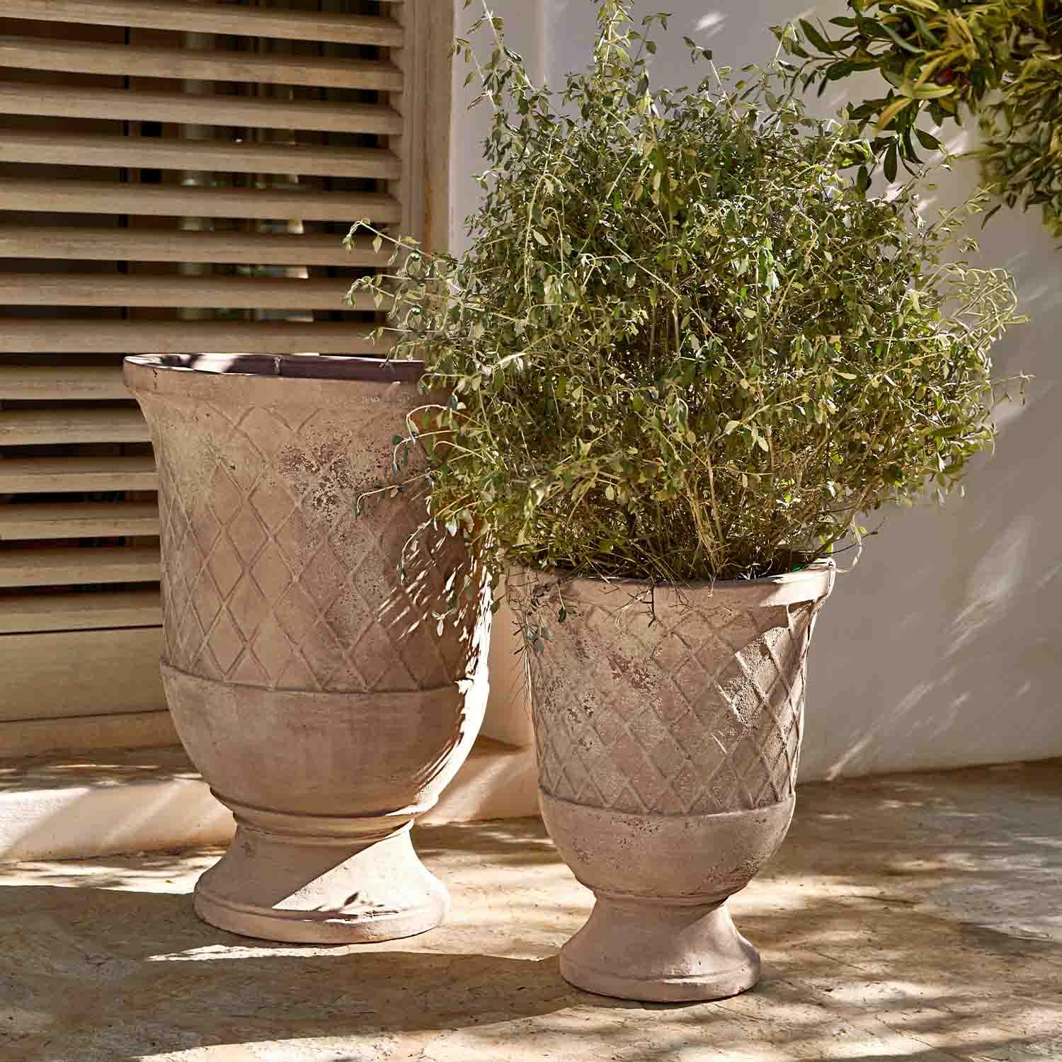 Deux grands pots en terre cuite beige avec motif losange, l’un contenant une plante verte
