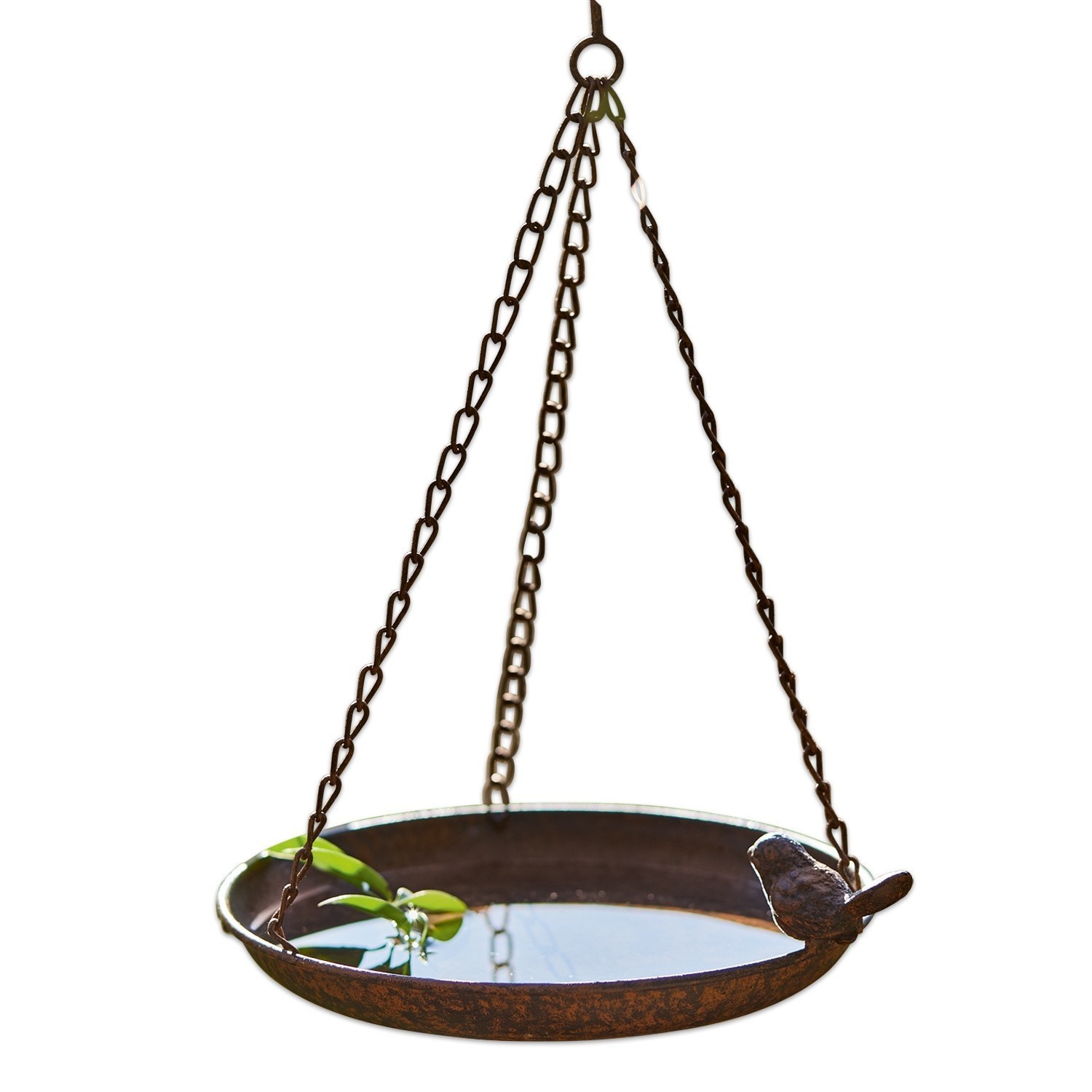 Abreuvoir Britta Bassin suspendu en métal brun rouille avec oiseau décoratif, idéal pour jardin et oiseaux