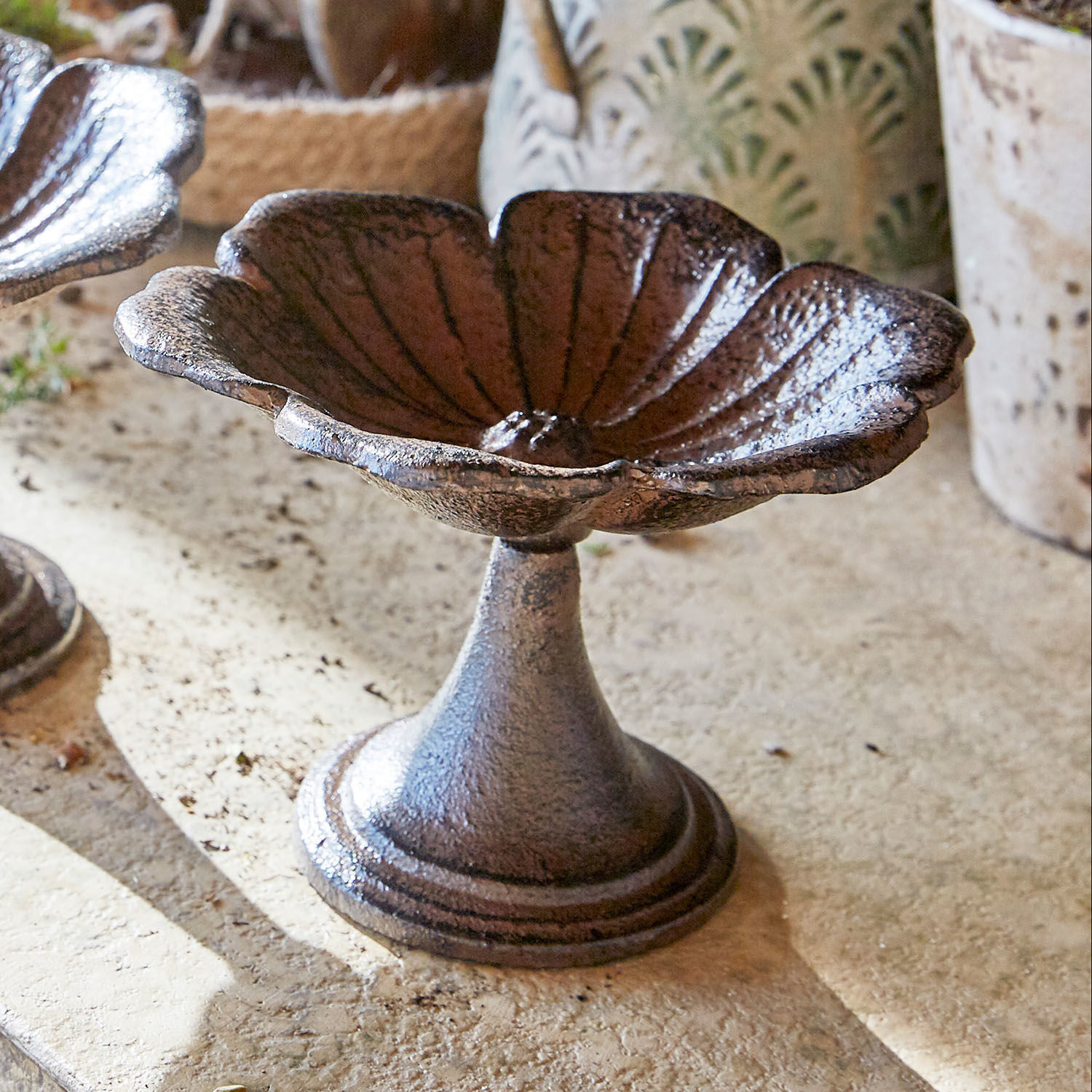 Lot de 2 coupes Arans