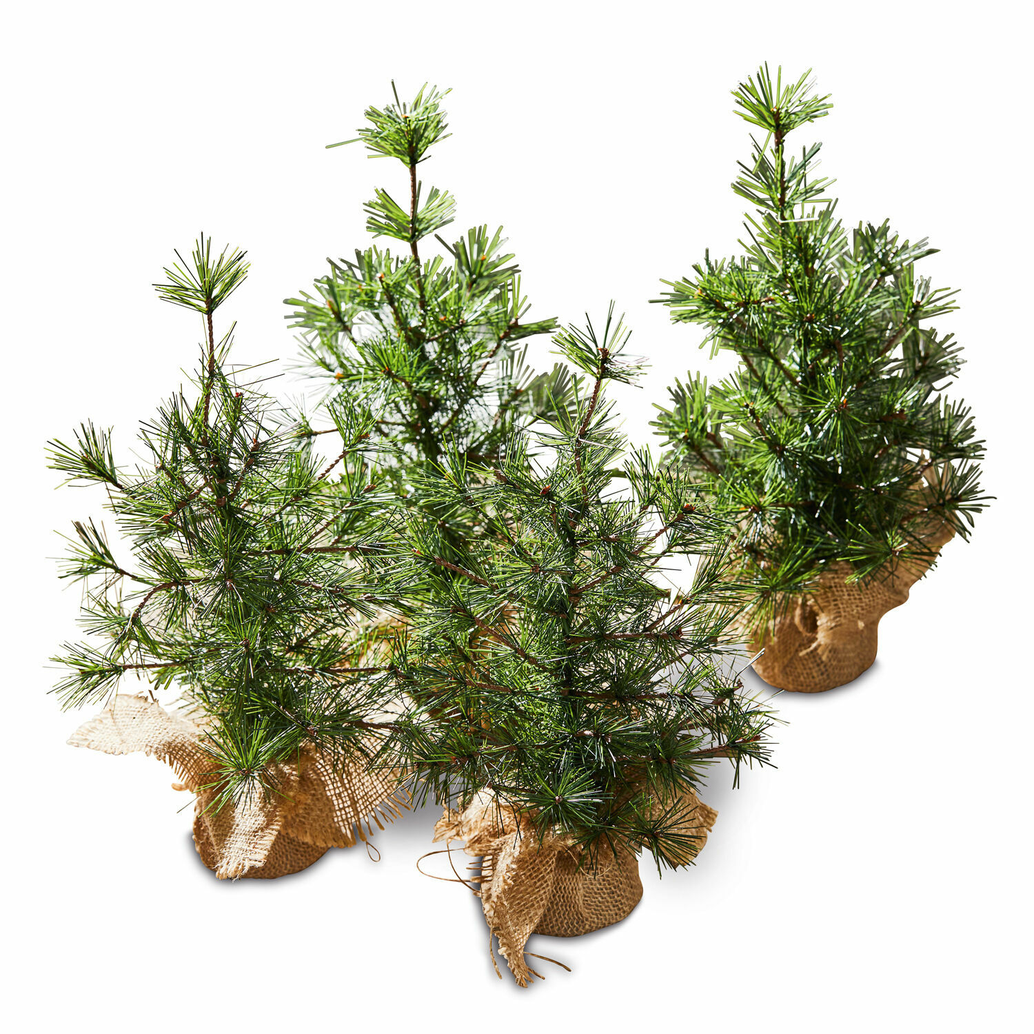 Lot de 4 sapins décoratifs Millies Petits sapins verts en pot avec housse en jute pour décoration de Noël