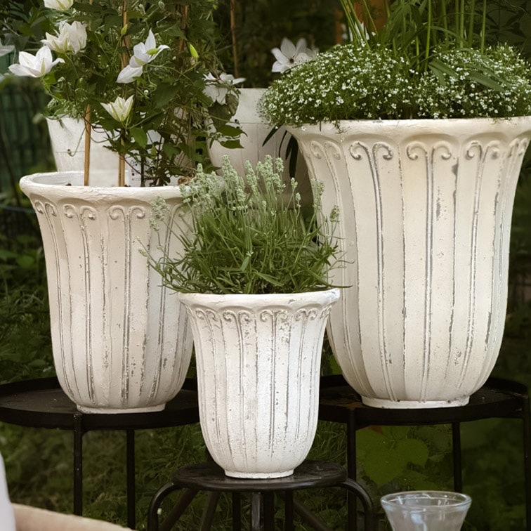 Ensemble de trois pots blancs en pierre avec motifs décoratifs, contenant des plantes de jardin