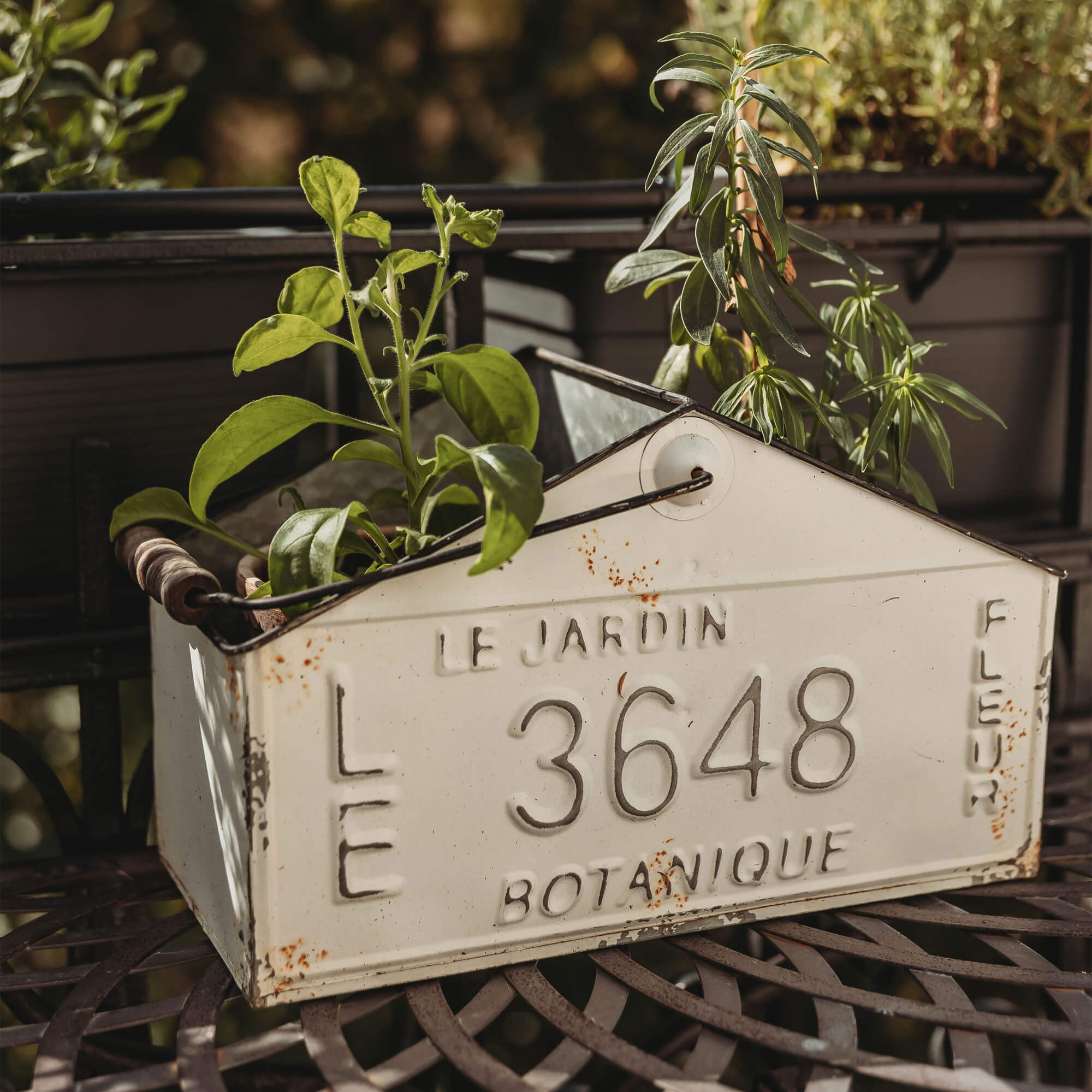 Jardinière en métal blanc en forme de maison avec plantes, style vintage pour décoration de jardin