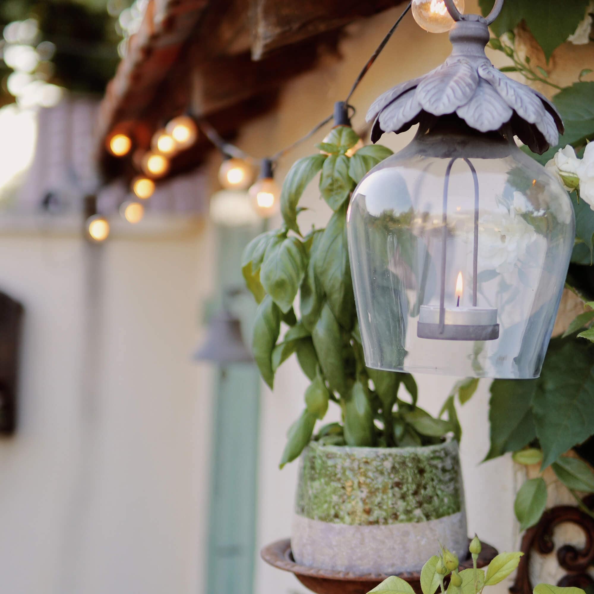 Lanterne en verre avec bougie suspendue près d’un pot de fleurs vertes en extérieur
