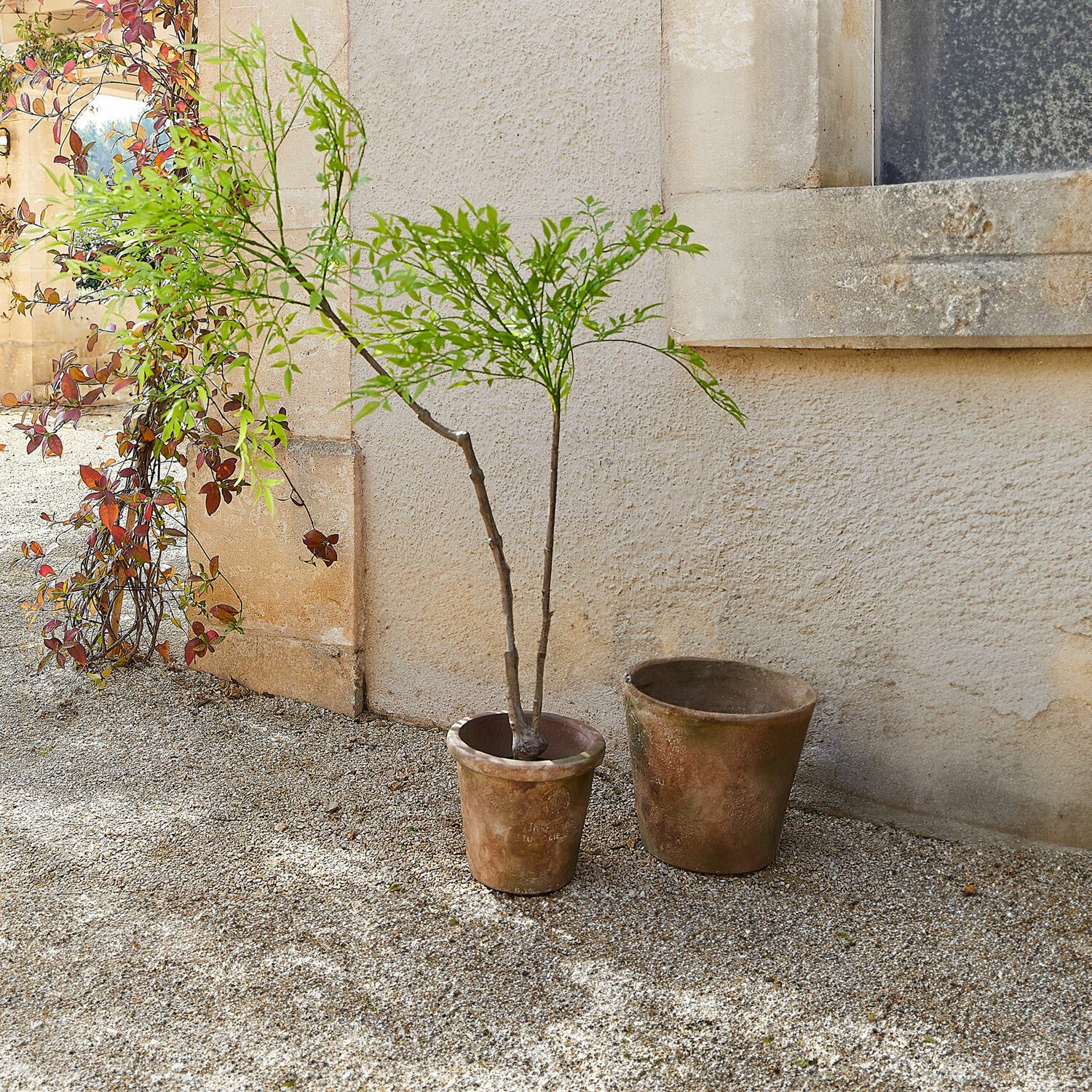 Plante en pot décorative 2d choix Avenelle