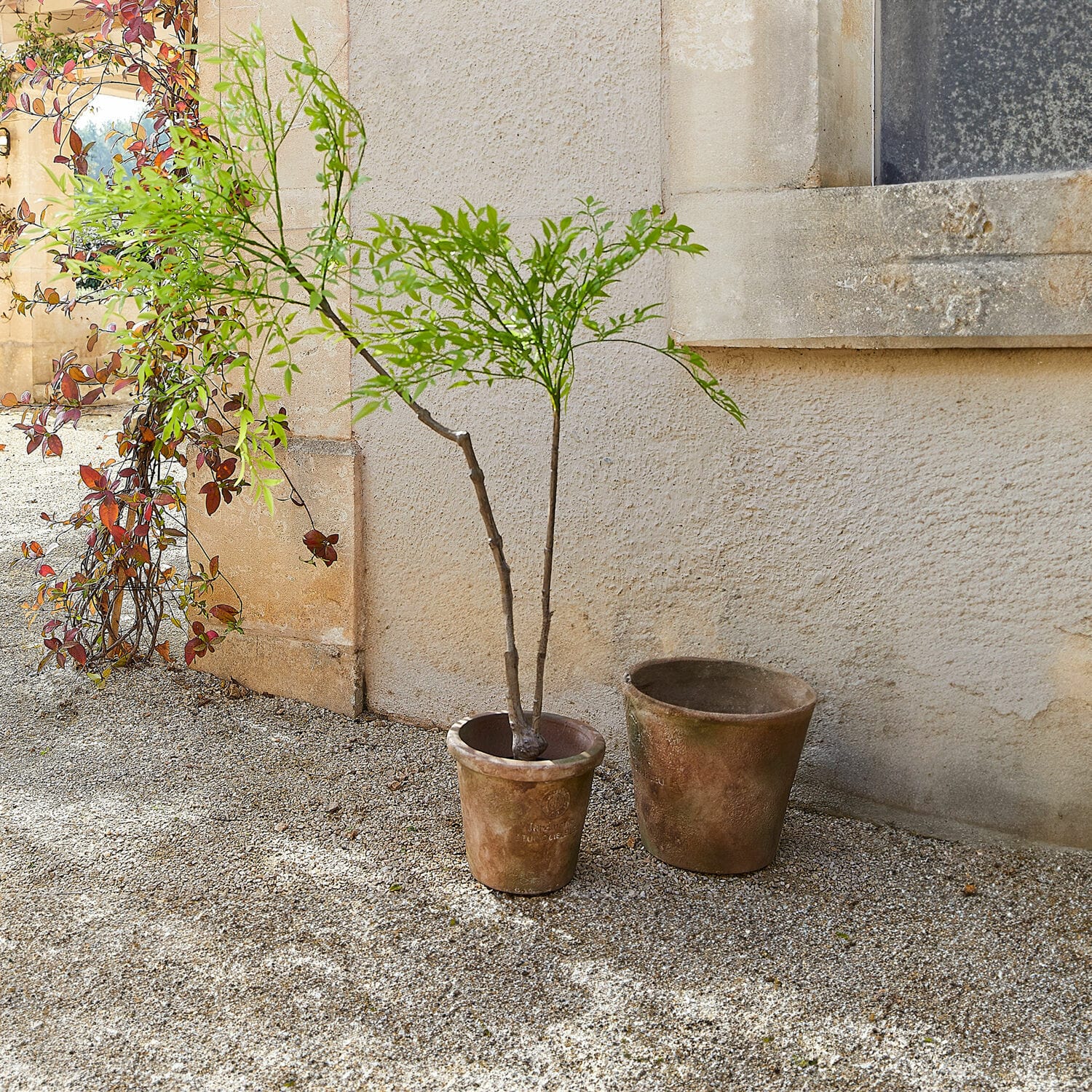 Plante en pot décorative 2d choix Avenelle