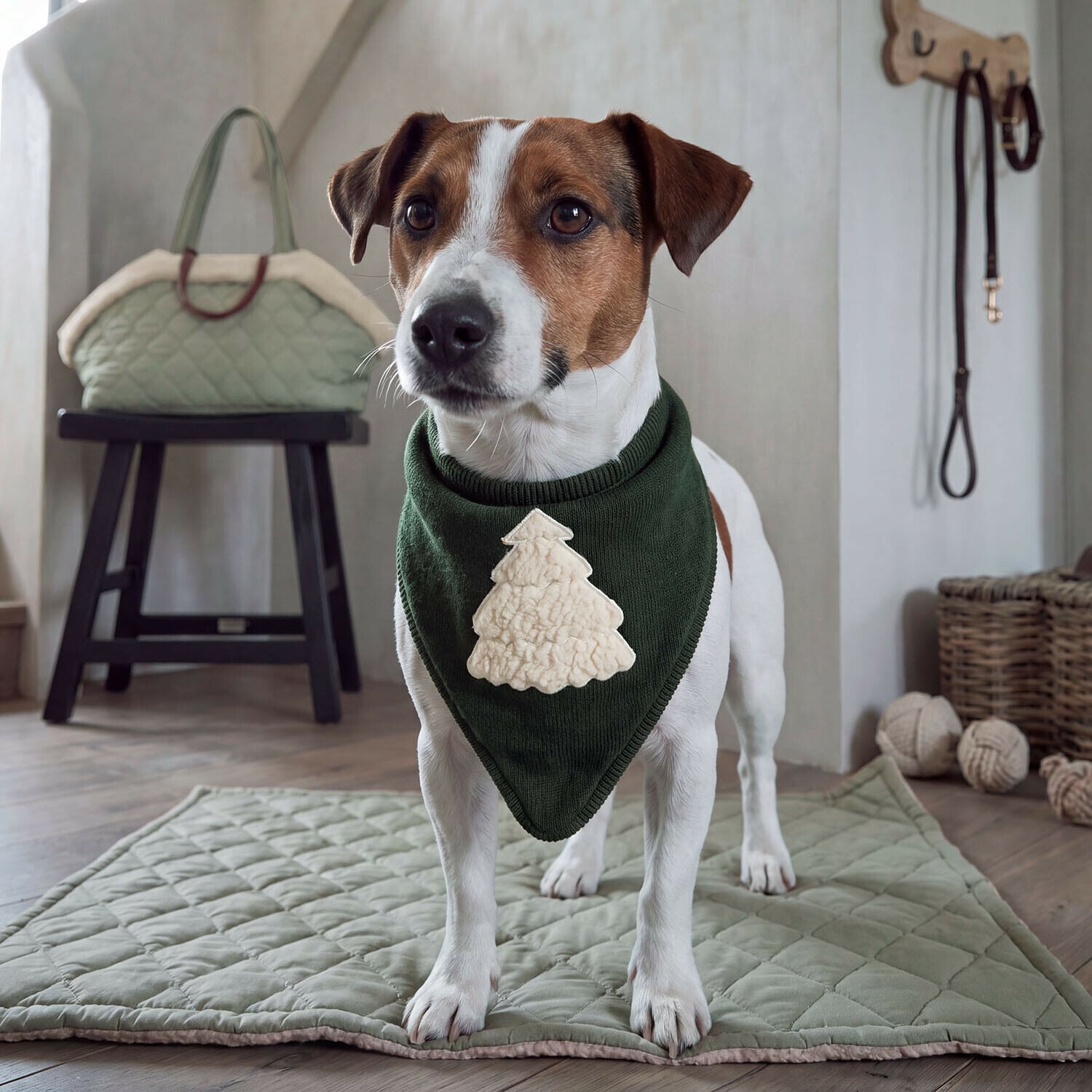 Foulard pour chien Jovini