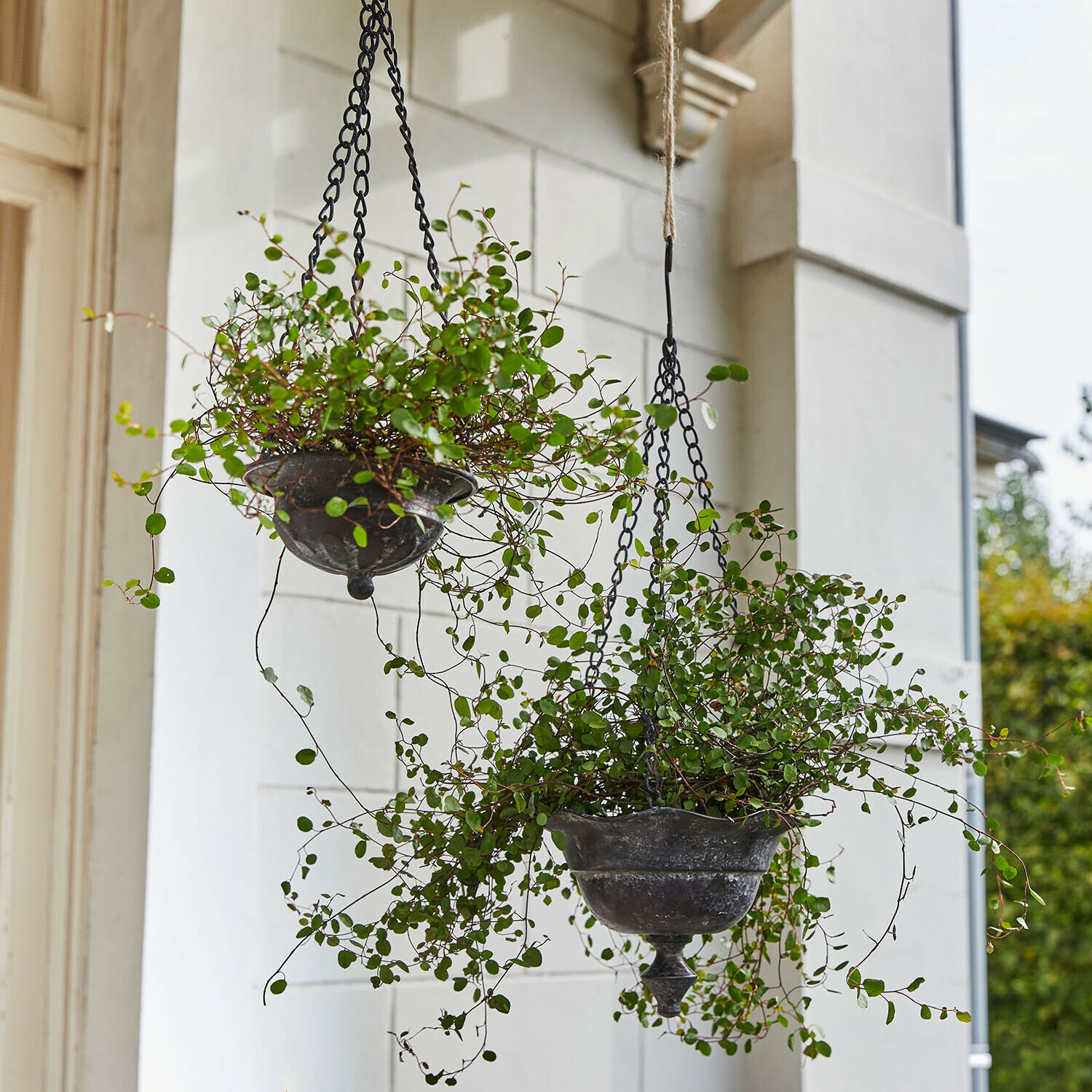 Lot de 2 pots à suspendre Trelonne