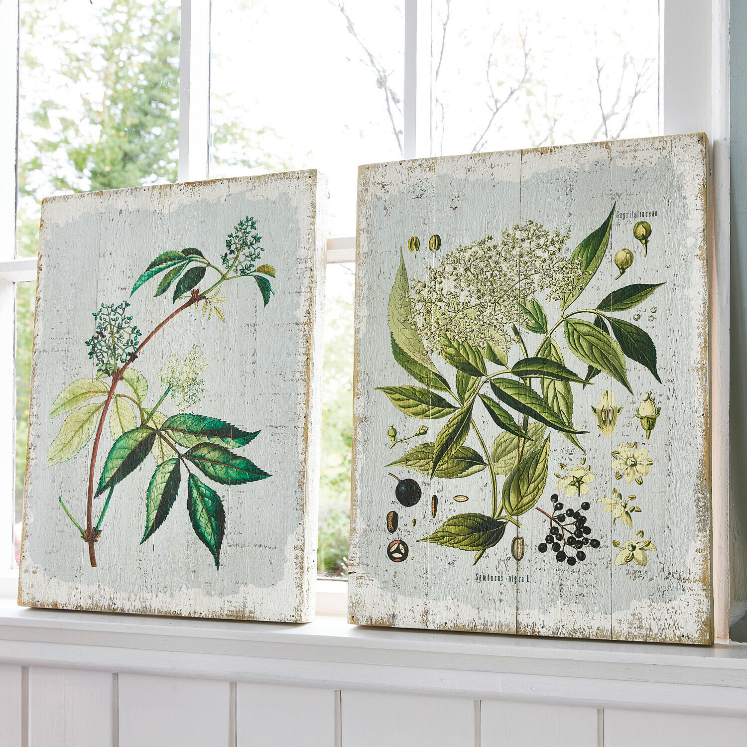 Lot de 2 tableaux décoratifs Loanne