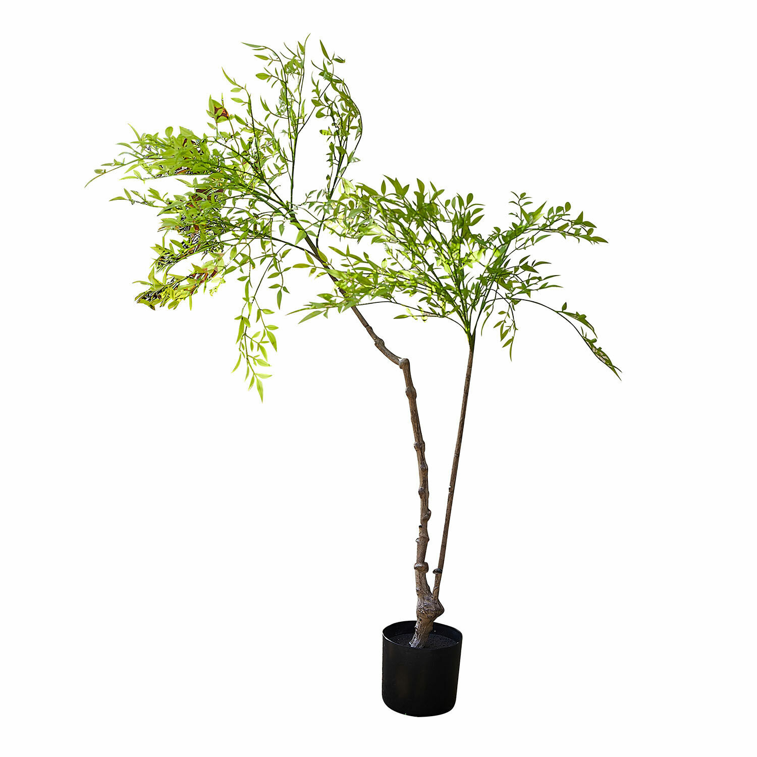 Plante en pot décorative 2d choix Avenelle