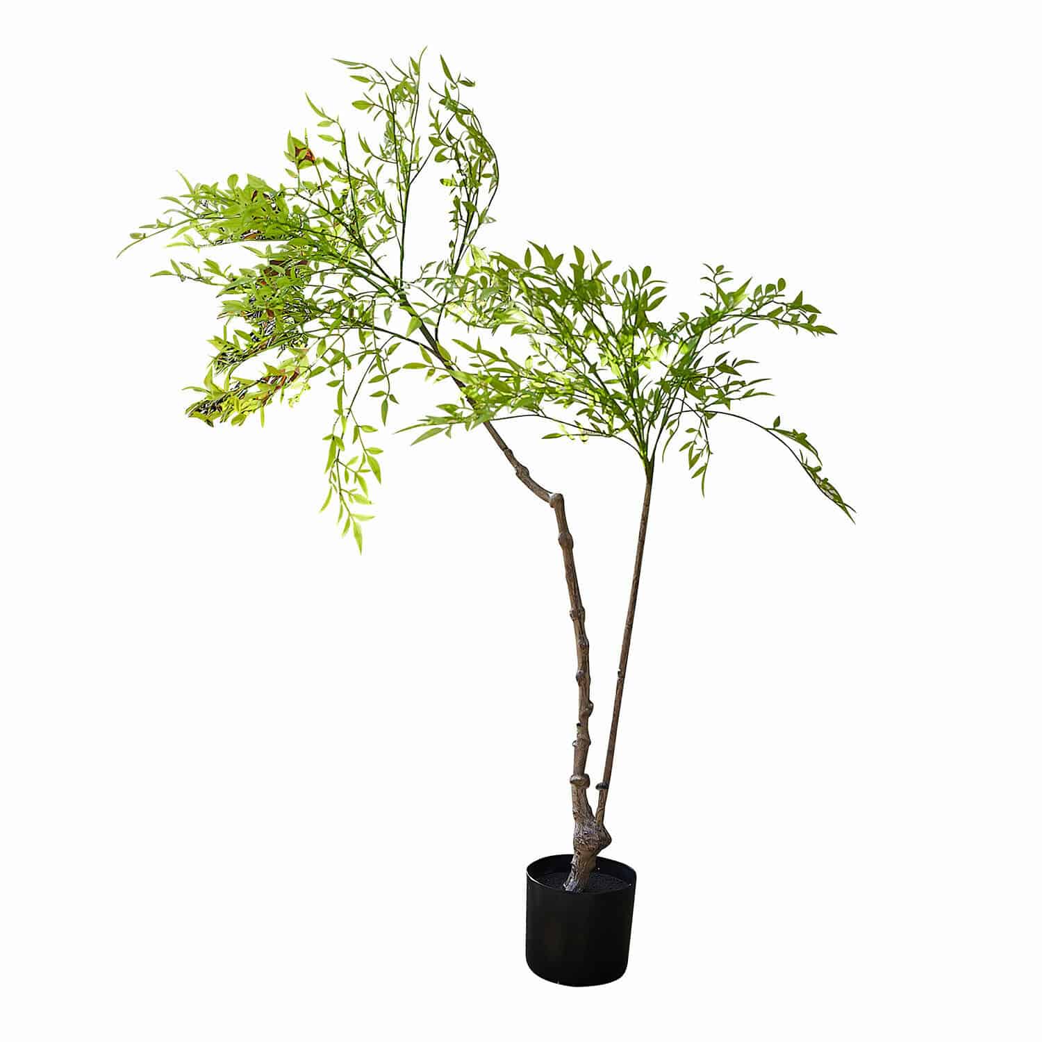 Plante en pot décorative 2d choix Avenelle