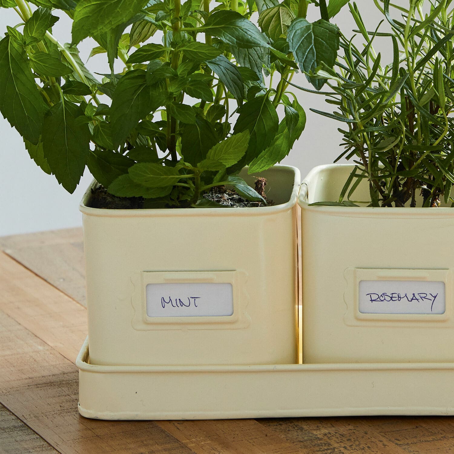 Lot de 3 cache-pots Lievens