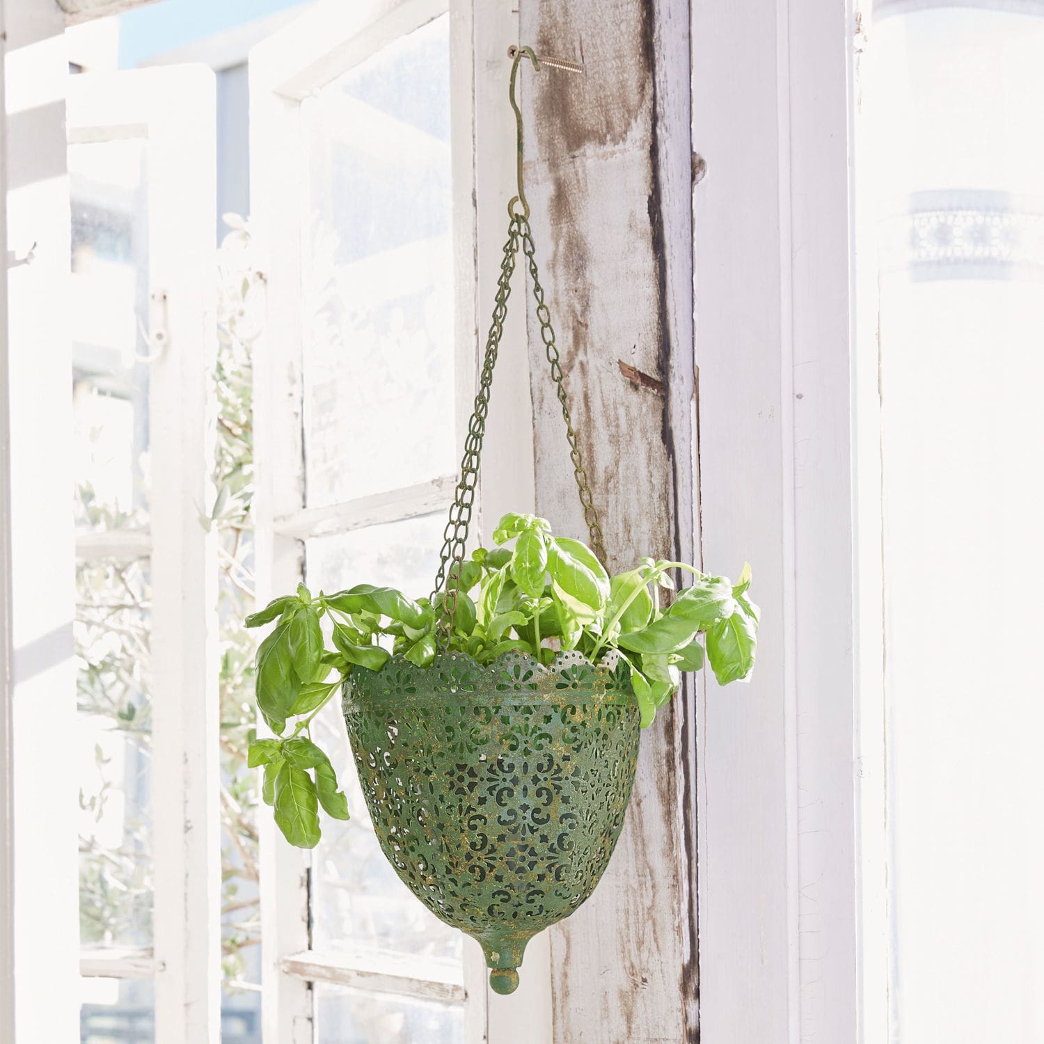 Panier suspendu pour plantes Jilo
