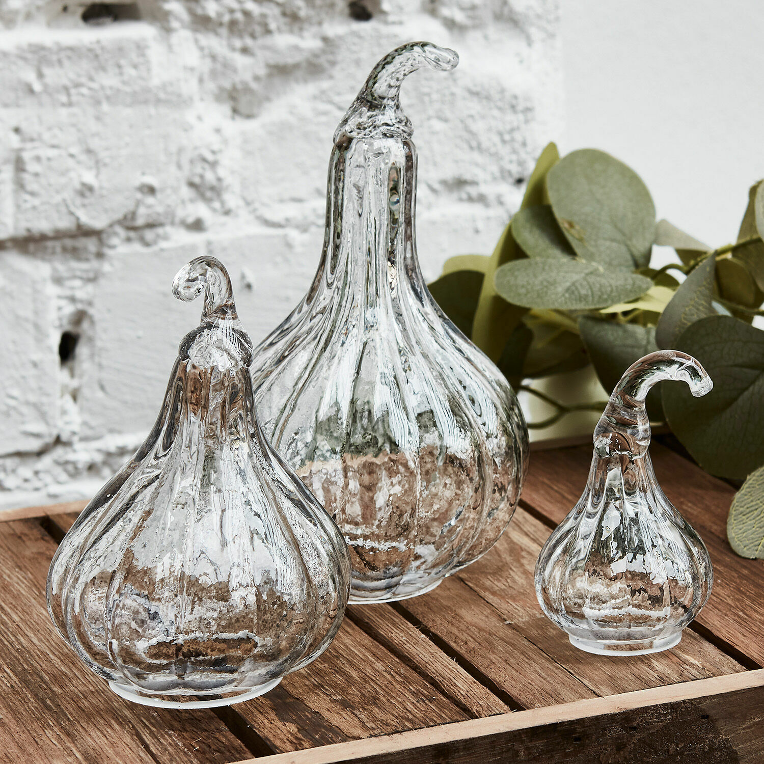 Lot de 3 courges Lacey Ensemble de trois citrouilles décoratives en verre transparent sur une table en bois, décoration intérieure