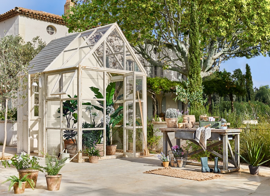 Chouchoutez vos plantes