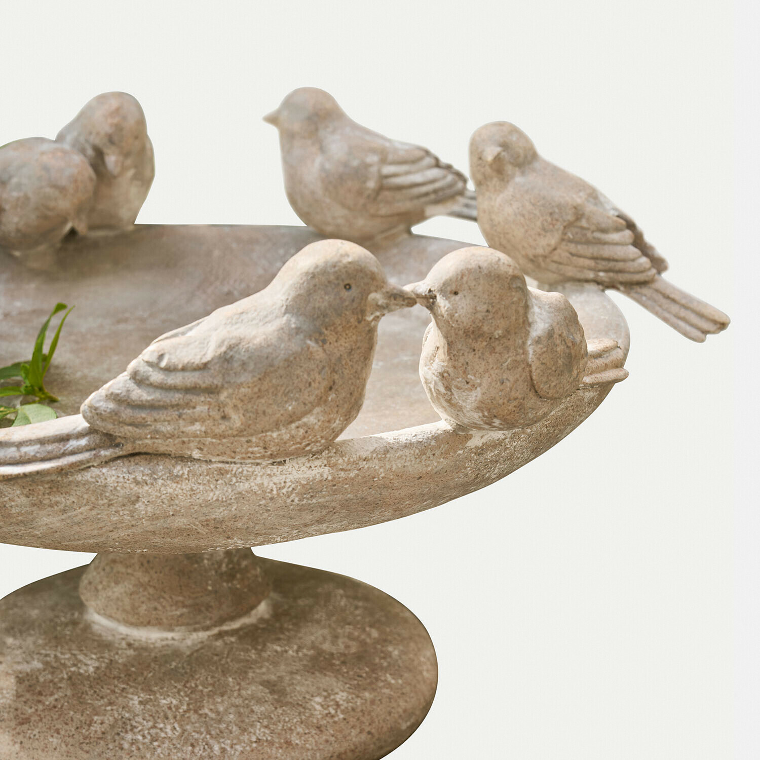 Bain d’oiseaux Haldoríe