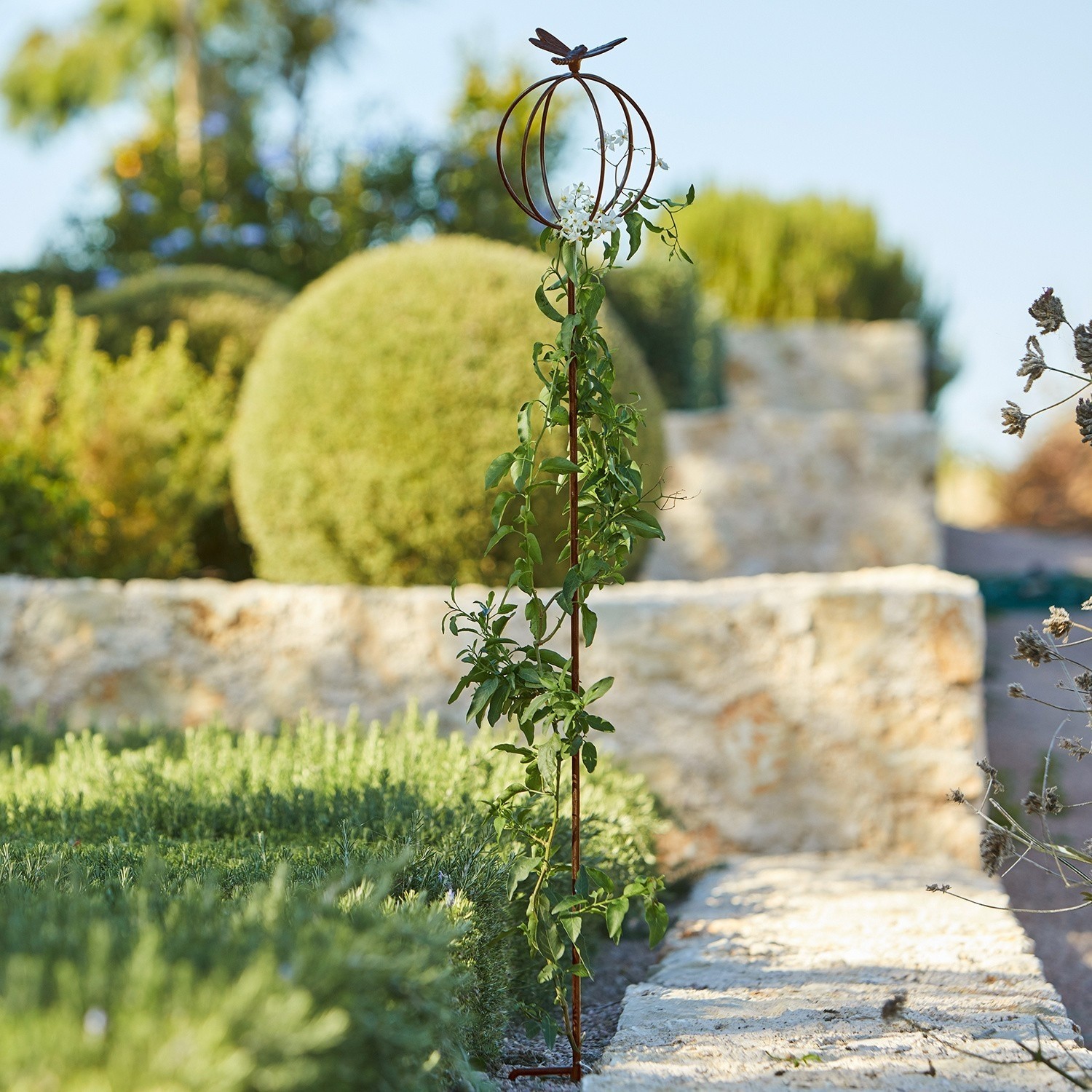 Piquet de jardin Libelle Support de plante en métal rouillé avec papillon, tuteur décoratif pour jardin et plantes grimpantes