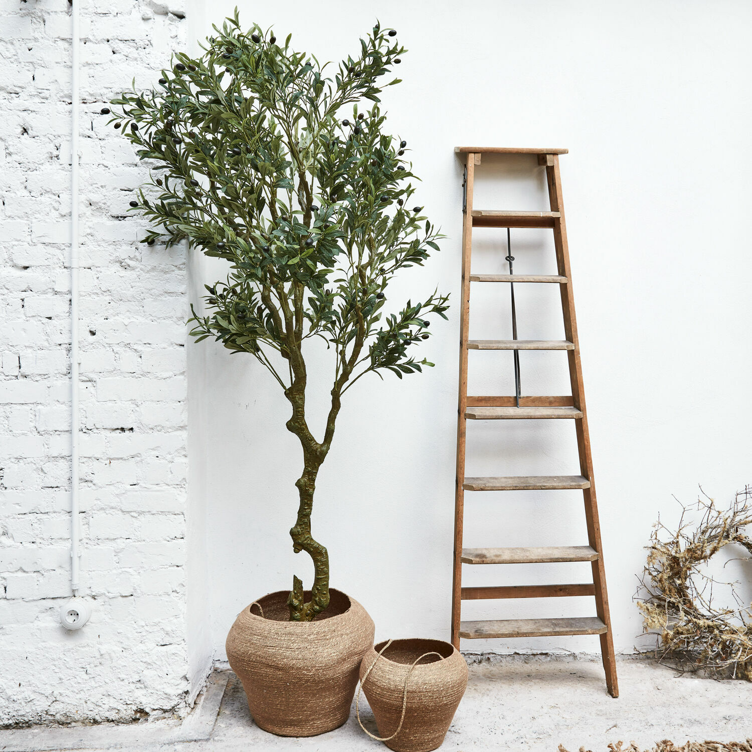 Plante décorative en pot Dambly