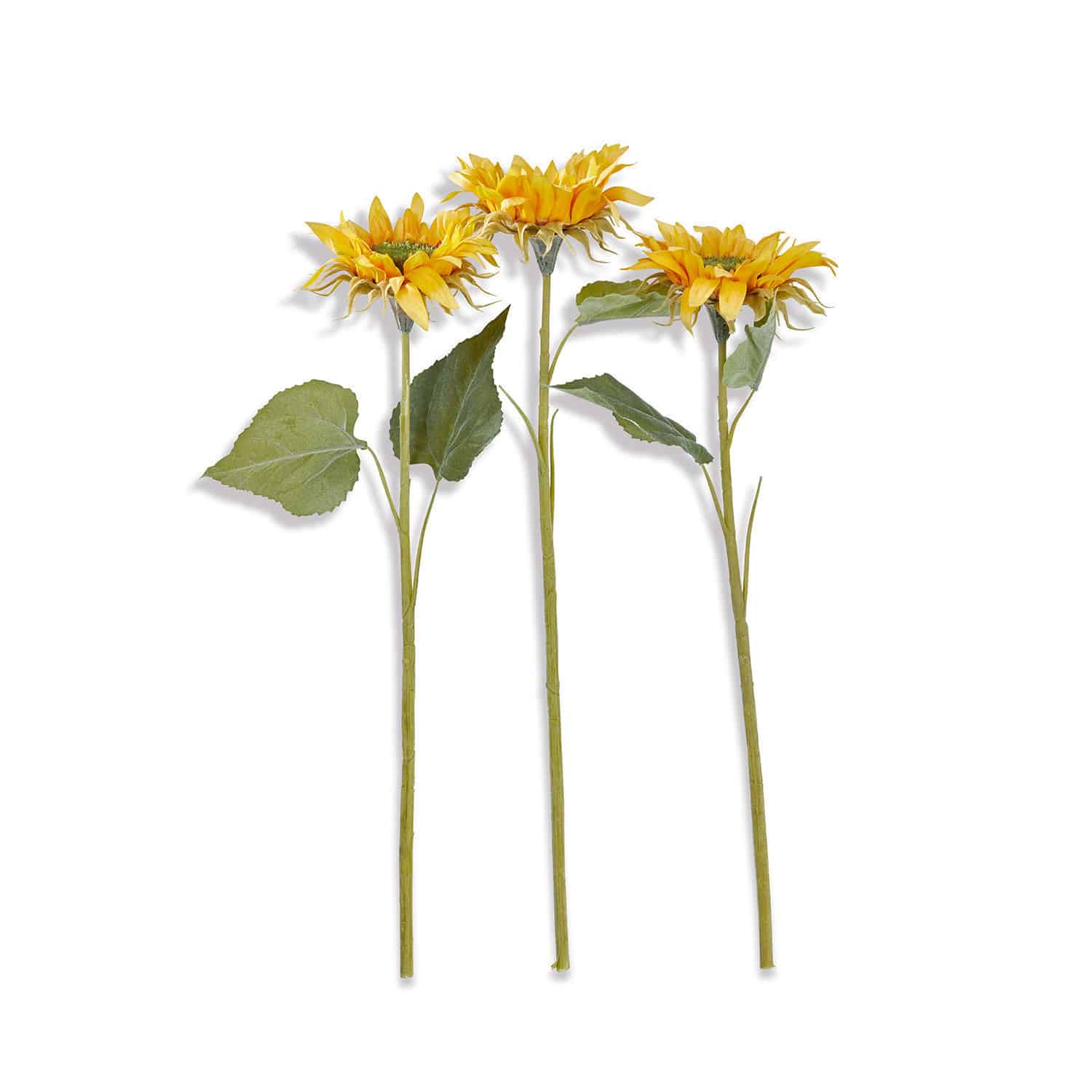 Lot de 3 fleurs décoratives Illis