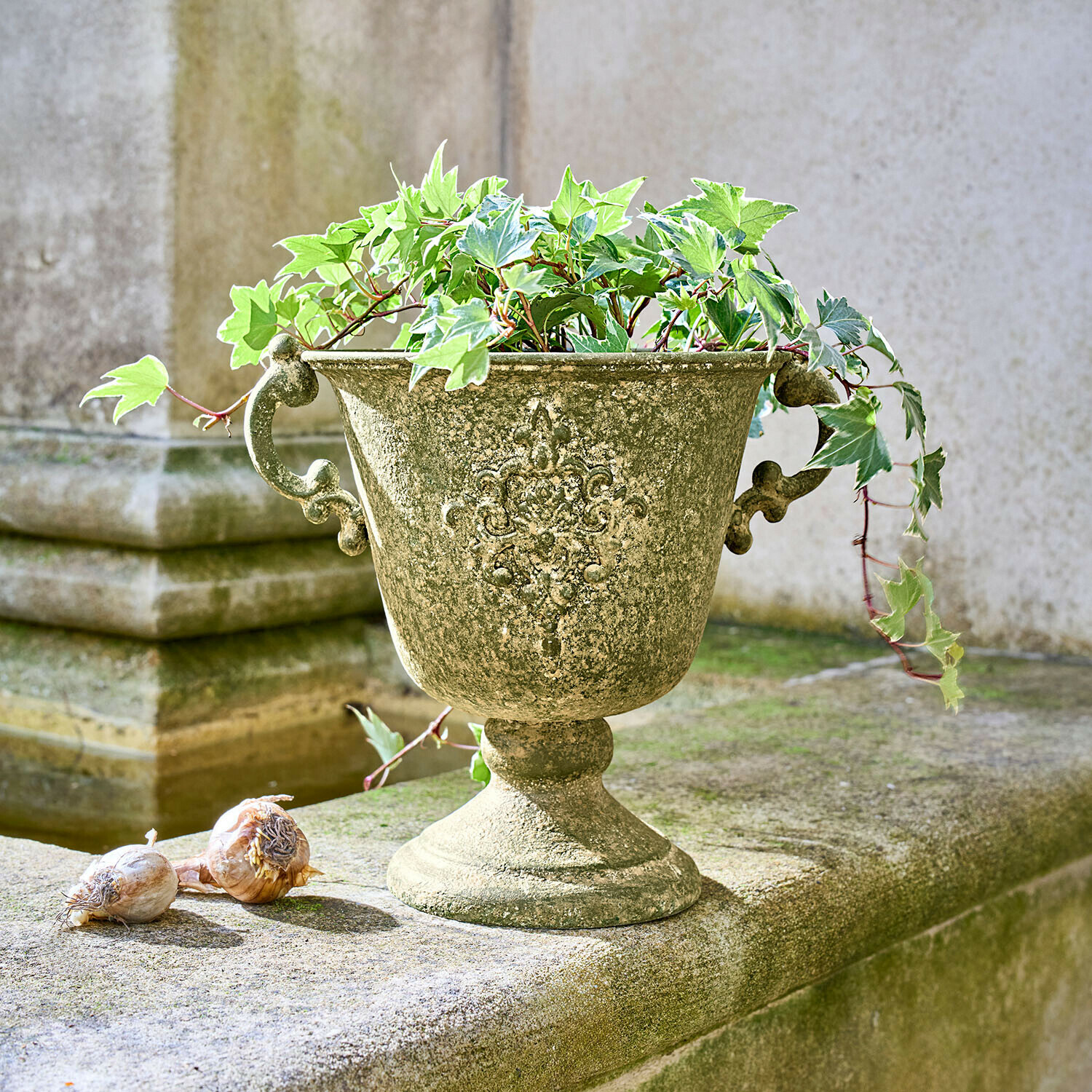 Amphore Ivyridge
