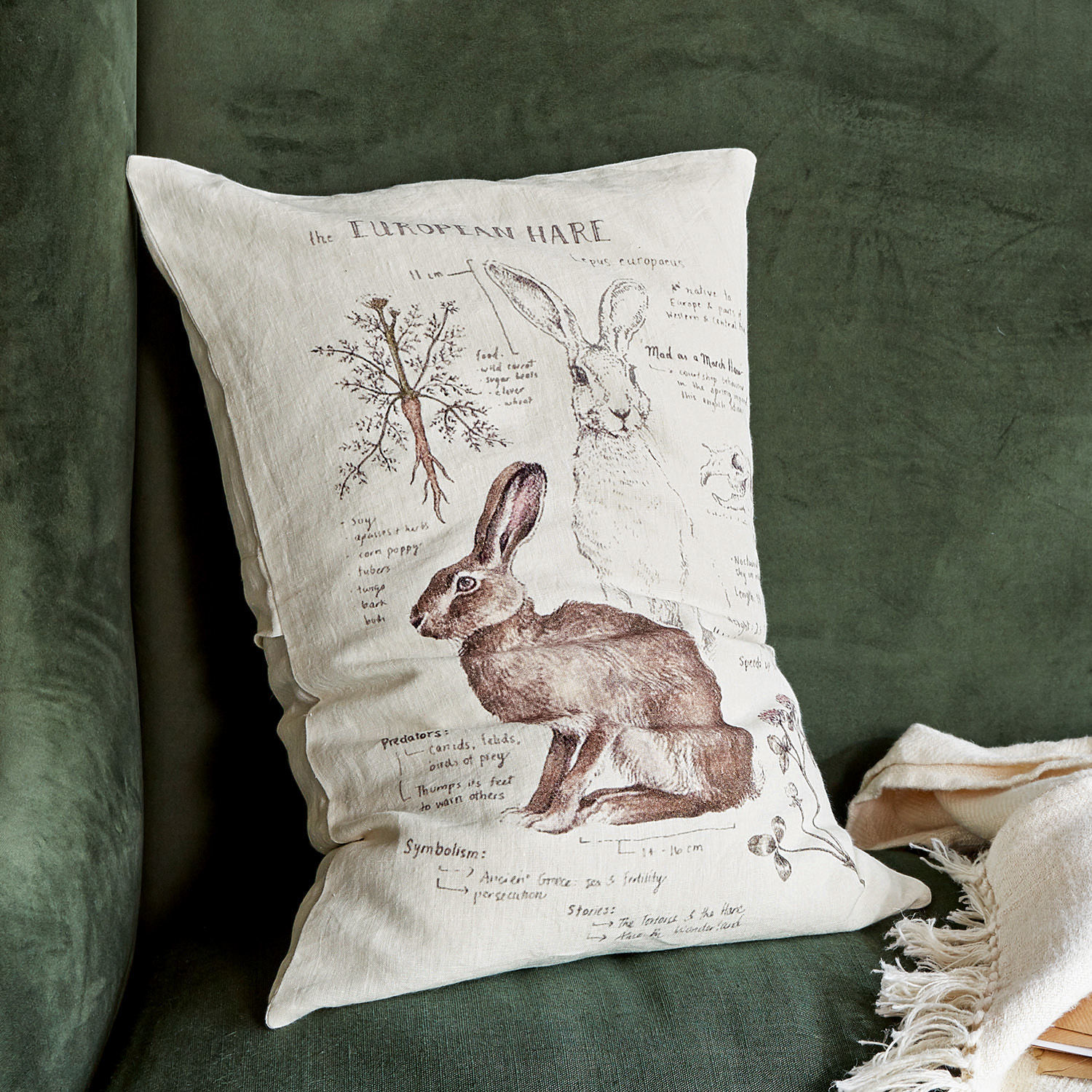 Housse de coussin Kalleur Coussin en lin avec illustration de lièvre européen brun sur canapé vert foncé
