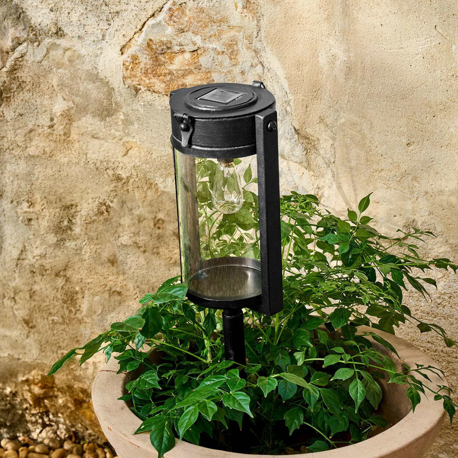 Lanterne solaire Lumeriss Lampe de jardin noire en métal avec abat-jour transparent entourée de feuilles vertes devant un mur en pierre