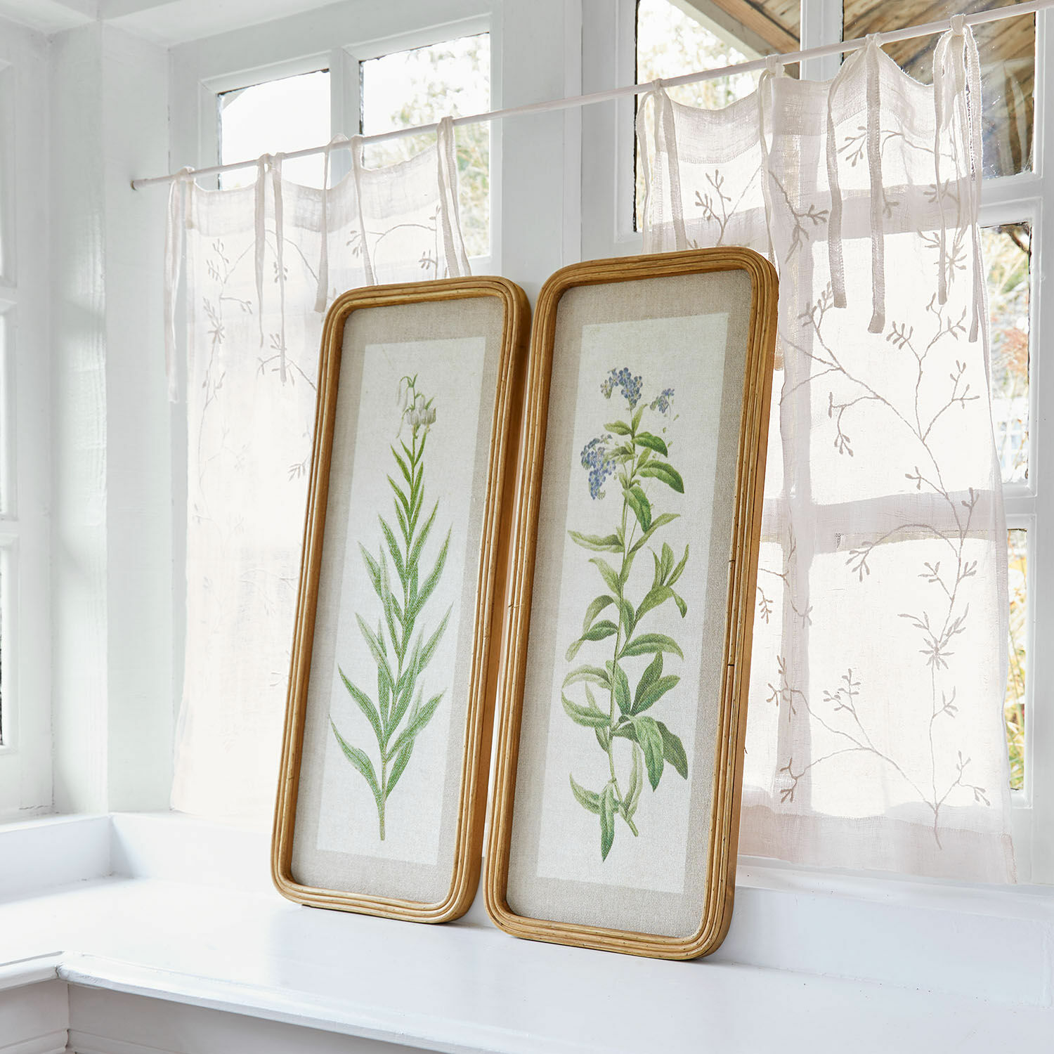Lot de 2 tableaux Cenori