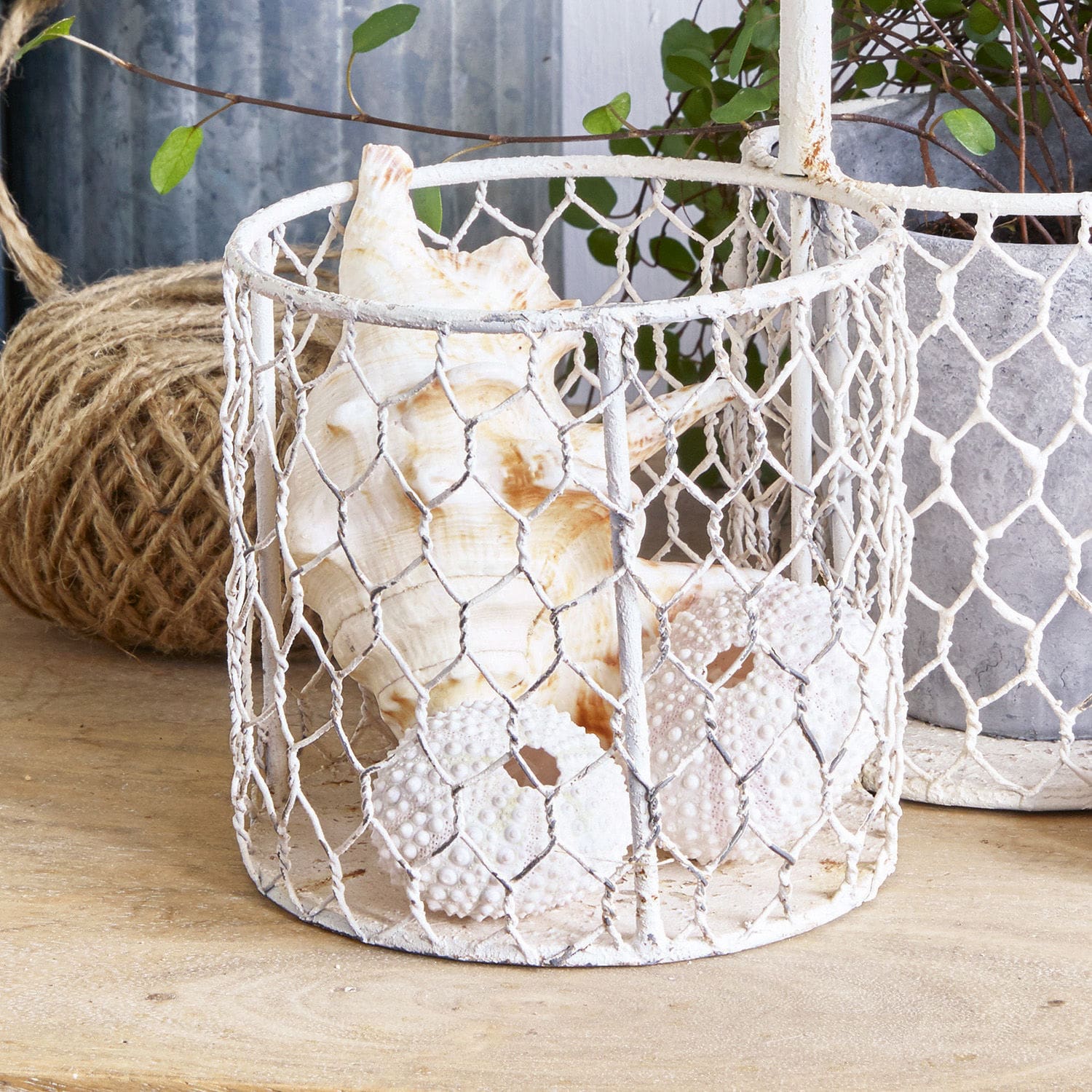 Porte-plantes Haims