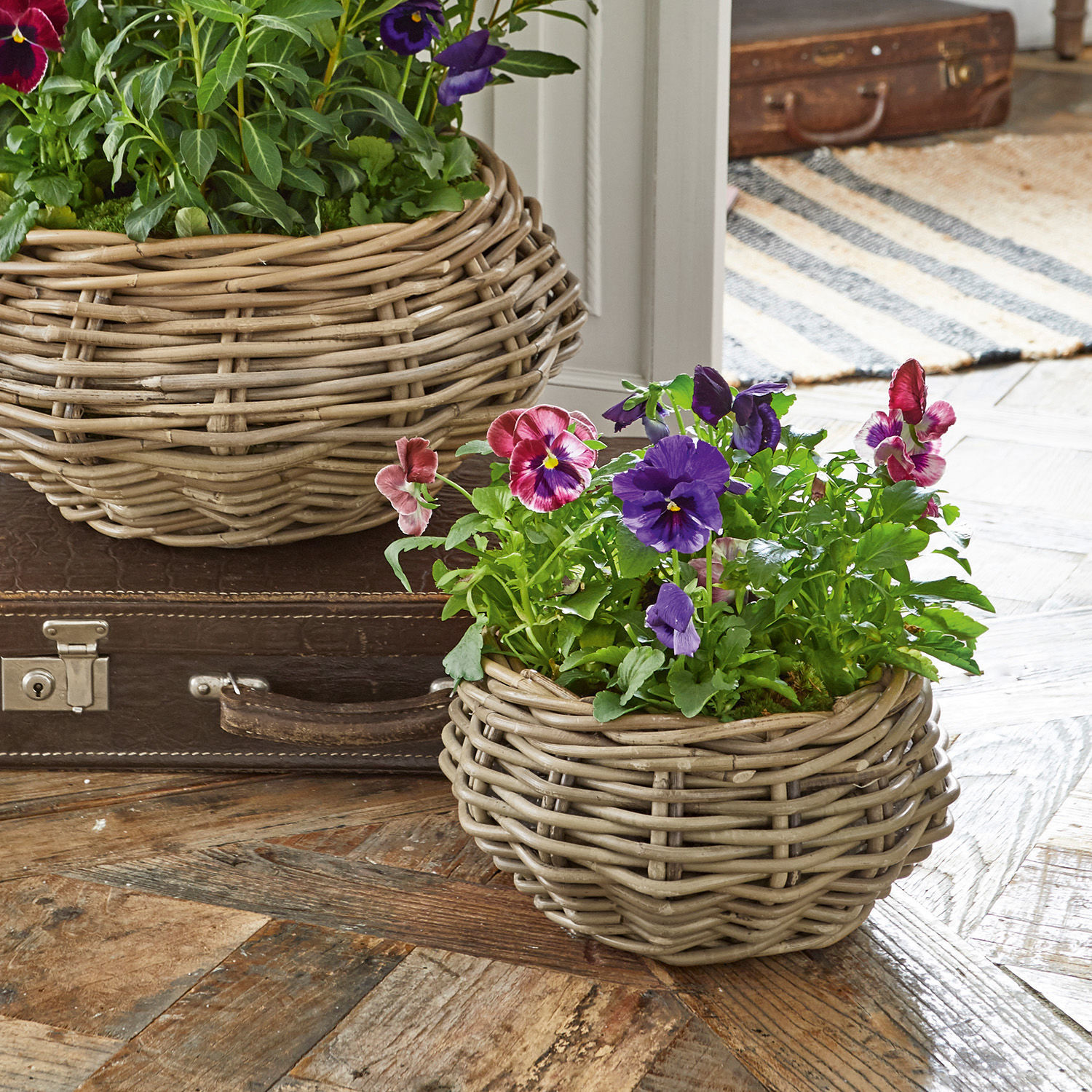 Lot de 2 paniers Xireux