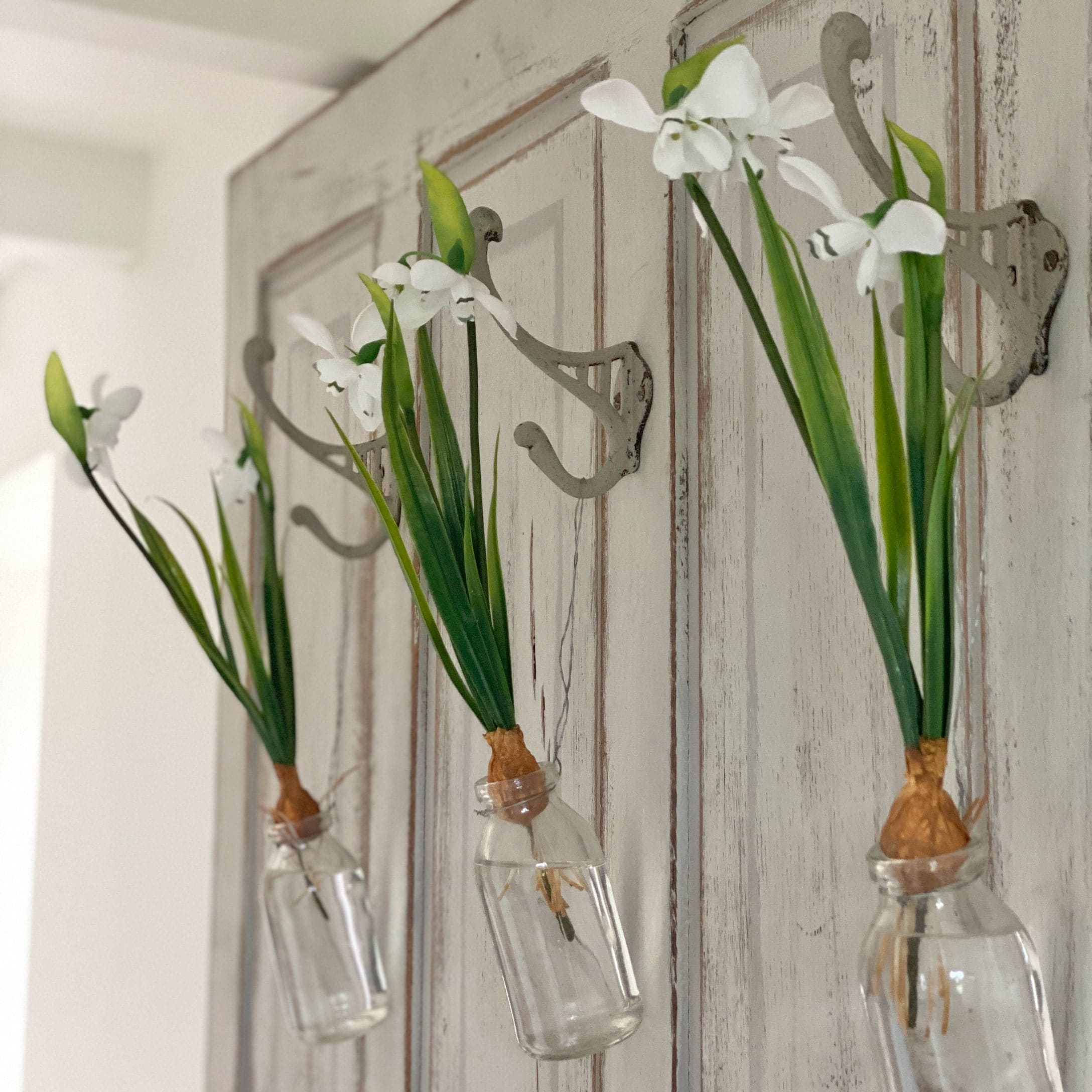Trois fleurs blanches dans des bouteilles en verre suspendues à des crochets métalliques sur une porte en bois