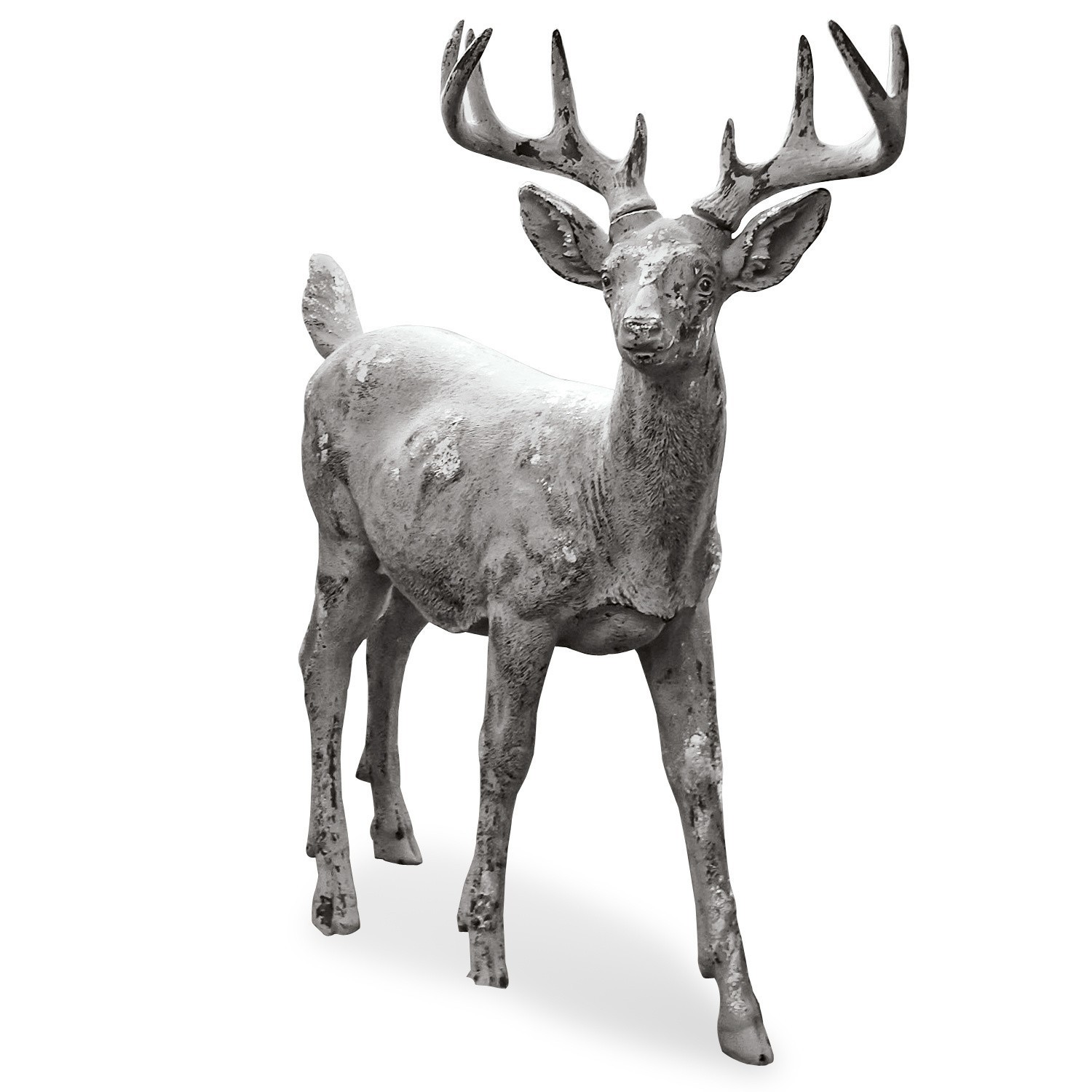 Cerf Lenny