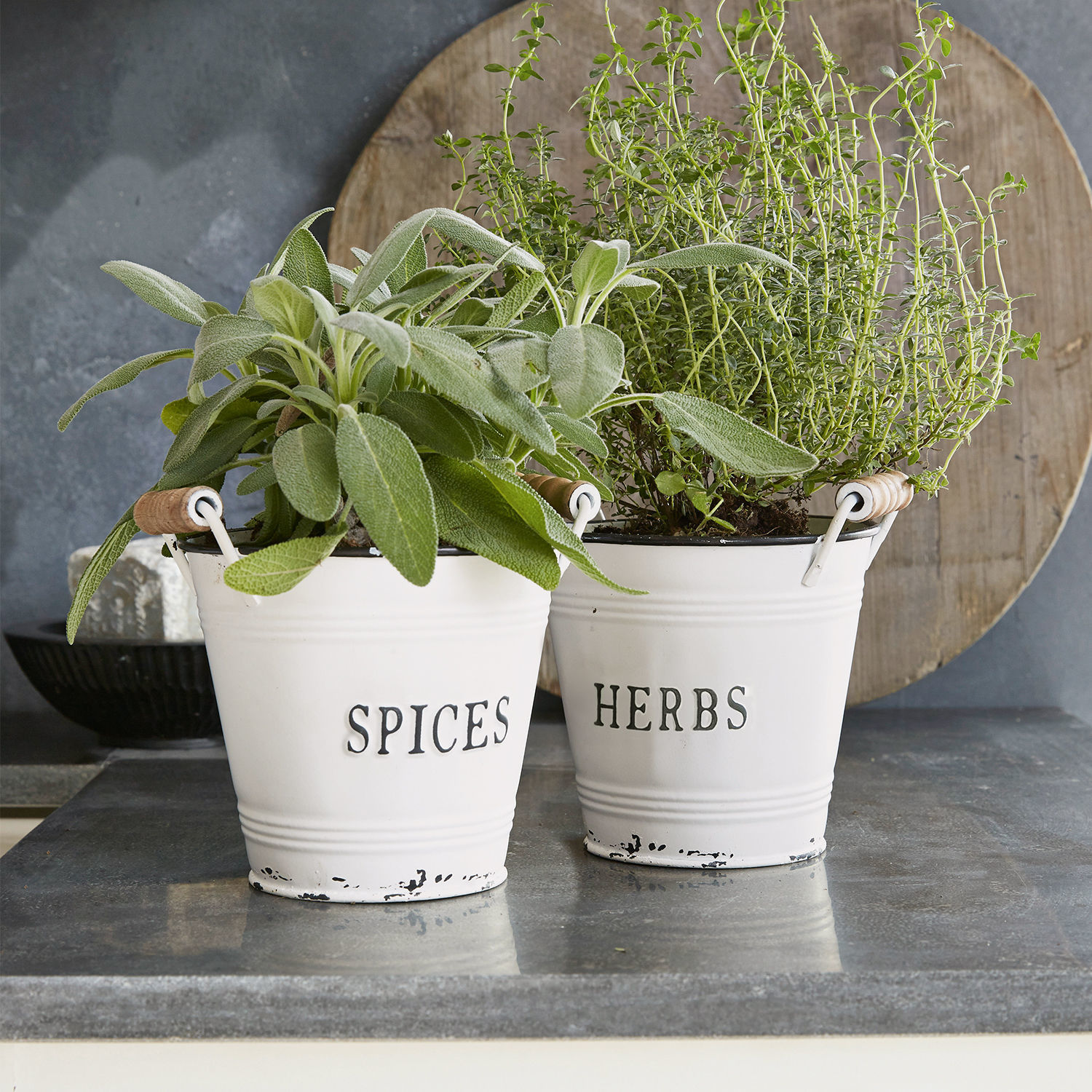 Lot de 2 cache-pots Trevis Pots en métal blanc avec inscriptions Spices et Herbs contenant des herbes vertes sur un plan de travail